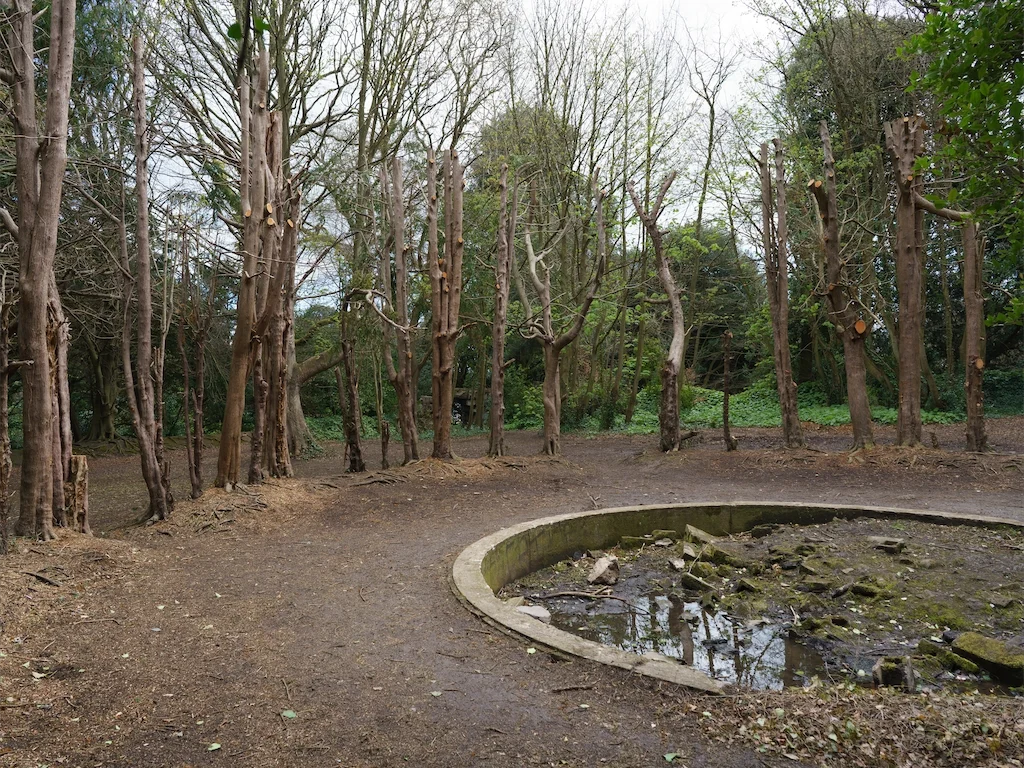 THE YEW CIRCLE AT ST ANNE'S IN APRIL 2016 [WHEN THERE WAS STILL A WATER FEATURE] 006