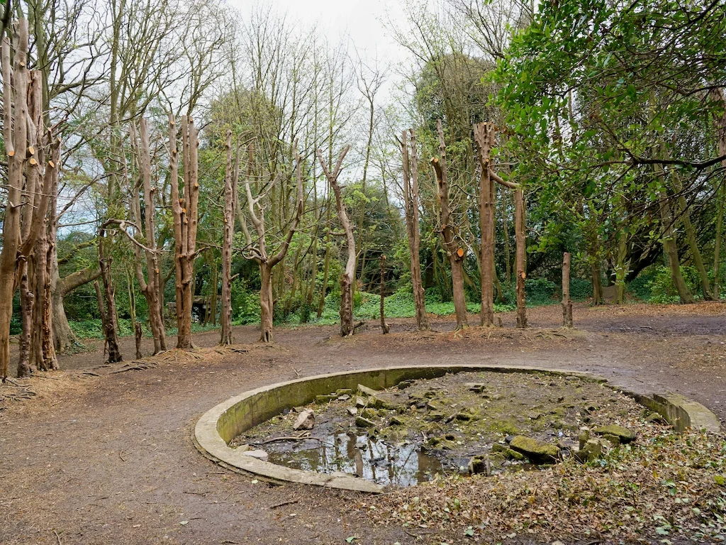 THE YEW CIRCLE AT ST ANNE'S IN APRIL 2016 [WHEN THERE WAS STILL A WATER FEATURE] 005