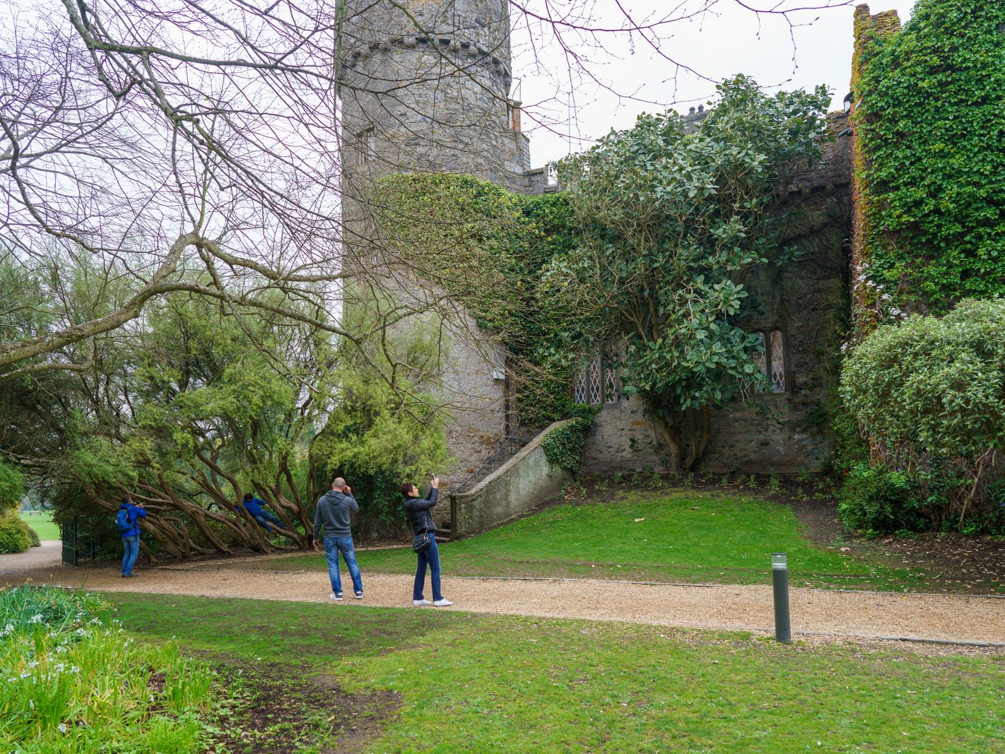 MALAHIDE CASTLE AND ESTATE [ HOME TO THE TALBOT FAMILY SINCE 1185]-227504-1