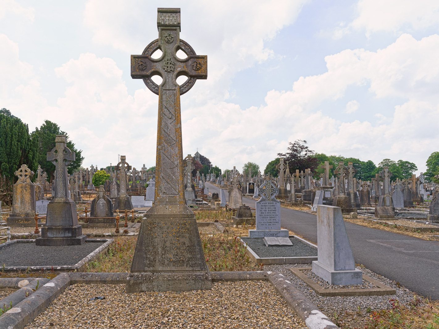 MY FIRST VISIT TO MOUNT ST LAWRENCE CEMETERY[LIMERICK JULY 2016]-227697-1