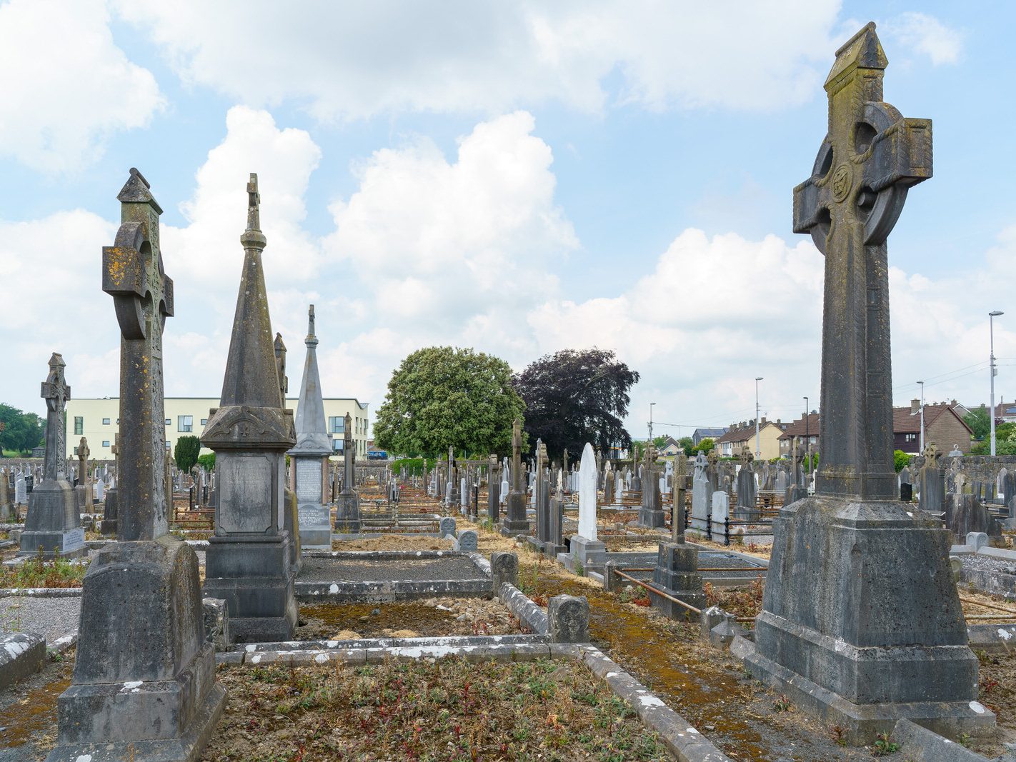 MY FIRST VISIT TO MOUNT ST LAWRENCE CEMETERY[LIMERICK JULY 2016]-227698-1