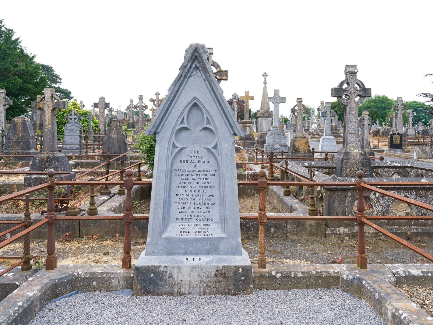 MY FIRST VISIT TO MOUNT ST LAWRENCE CEMETERY[LIMERICK JULY 2016]-227700-1