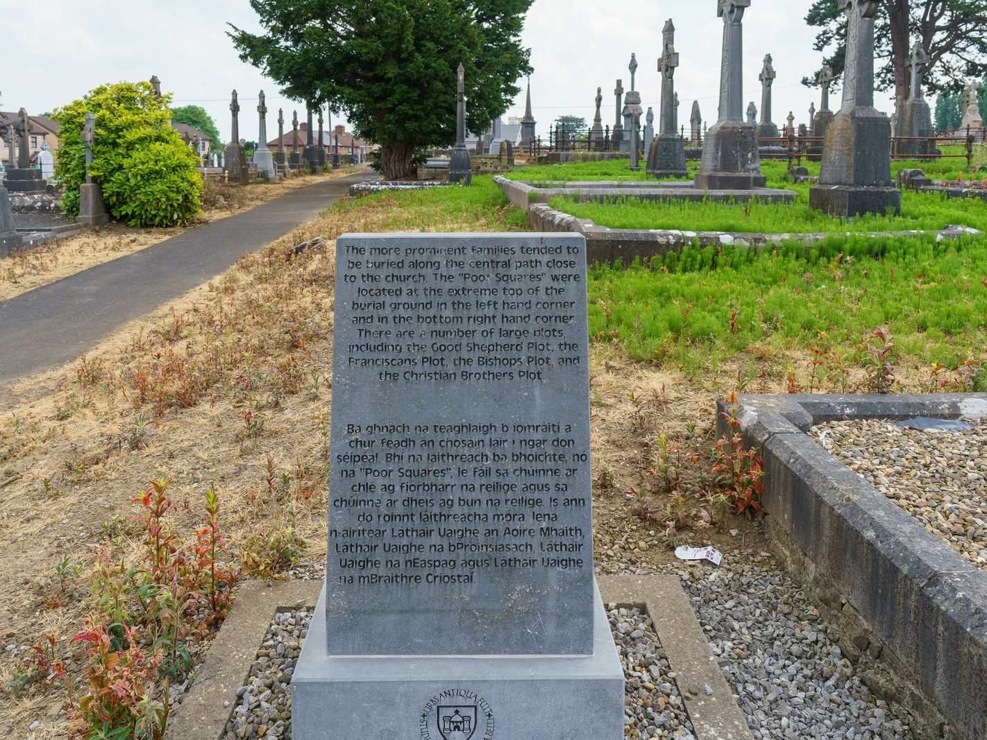 MY FIRST VISIT TO MOUNT ST LAWRENCE CEMETERY[LIMERICK JULY 2016]-227706-1