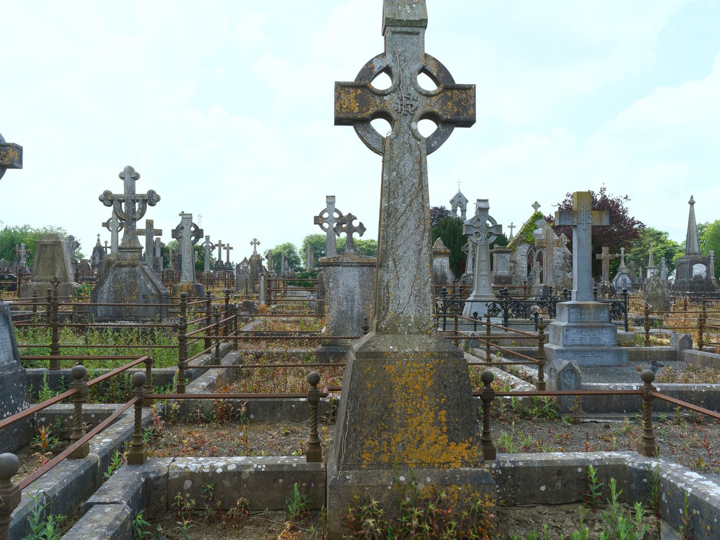 MY FIRST VISIT TO MOUNT ST LAWRENCE CEMETERY[LIMERICK JULY 2016]-227710-1