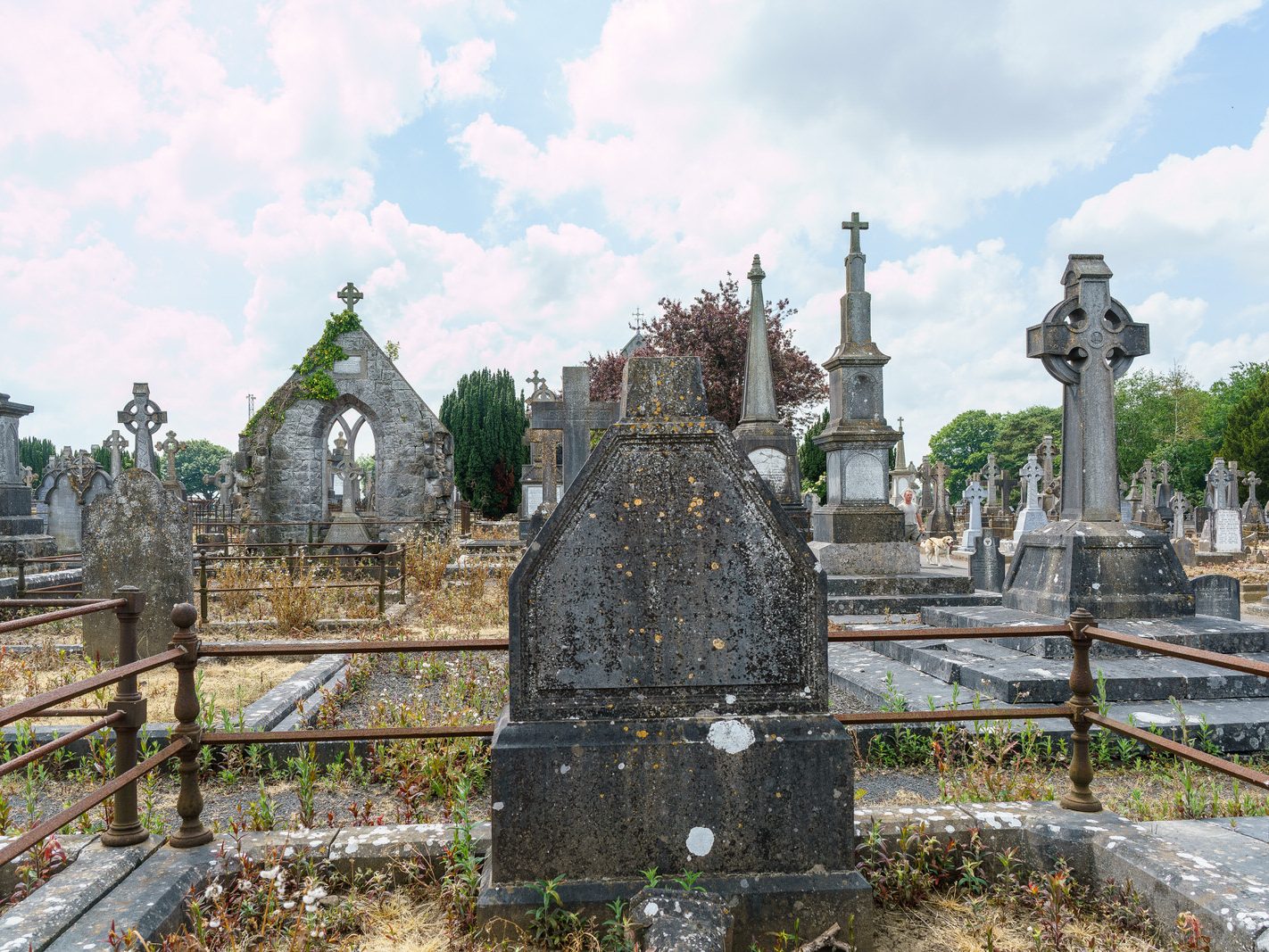 MY FIRST VISIT TO MOUNT ST LAWRENCE CEMETERY[LIMERICK JULY 2016]-227711-1