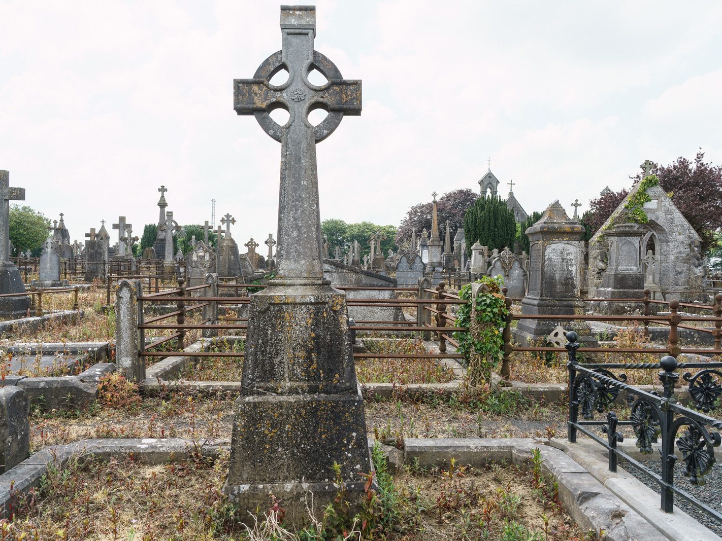 MY FIRST VISIT TO MOUNT ST LAWRENCE CEMETERY[LIMERICK JULY 2016]-227712-1