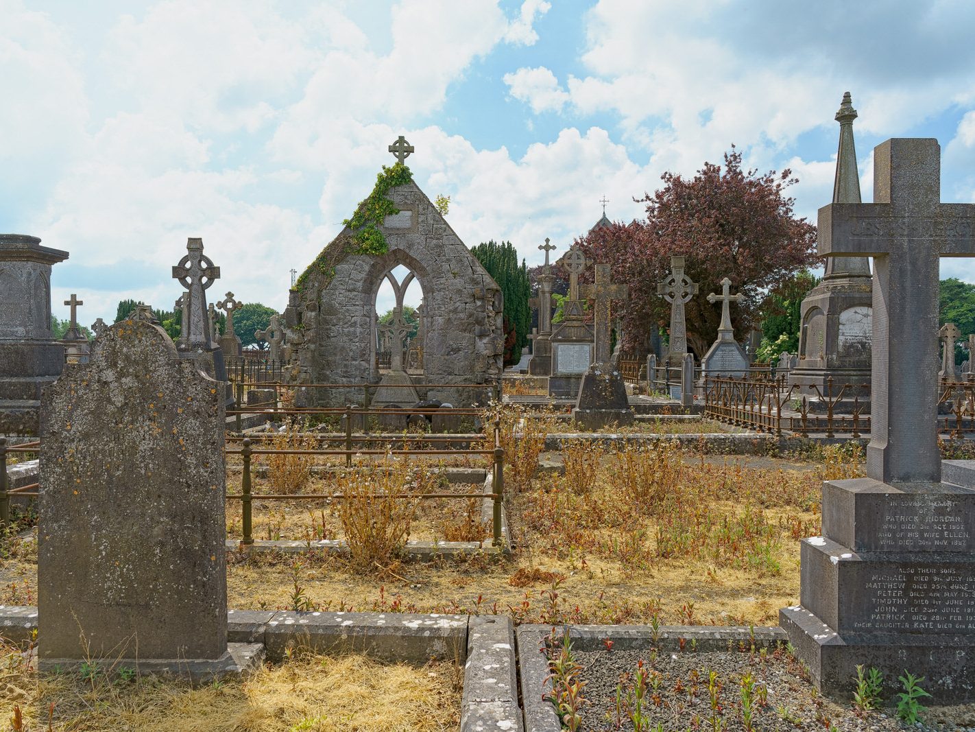 MY FIRST VISIT TO MOUNT ST LAWRENCE CEMETERY[LIMERICK JULY 2016]-227714-1