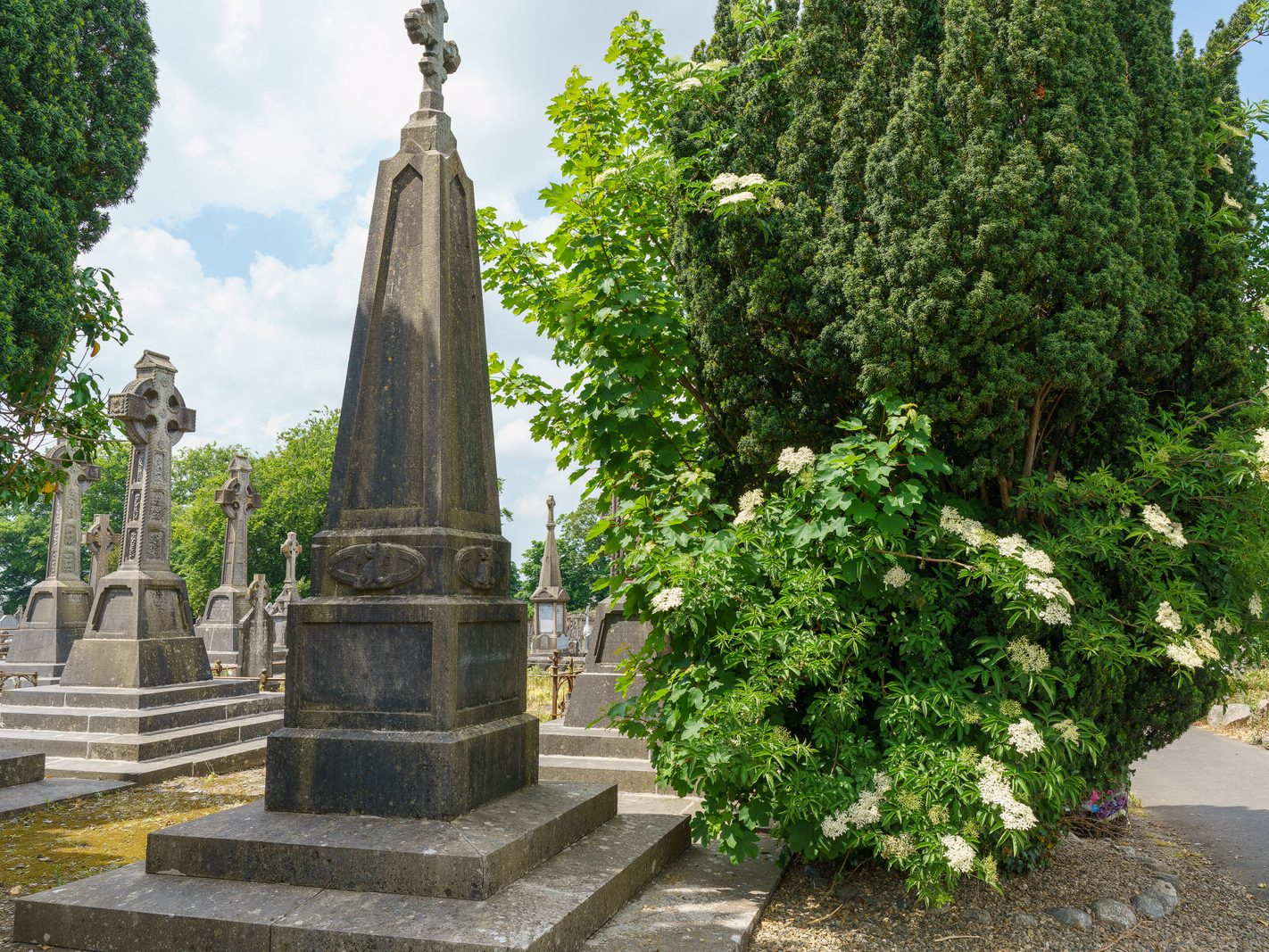 MY FIRST VISIT TO MOUNT ST LAWRENCE CEMETERY[LIMERICK JULY 2016]-227725-1