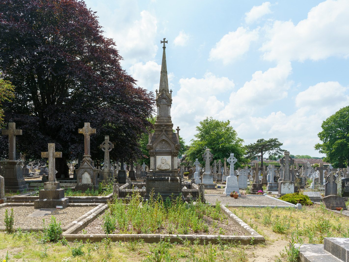 MY FIRST VISIT TO MOUNT ST LAWRENCE CEMETERY[LIMERICK JULY 2016]-227733-1