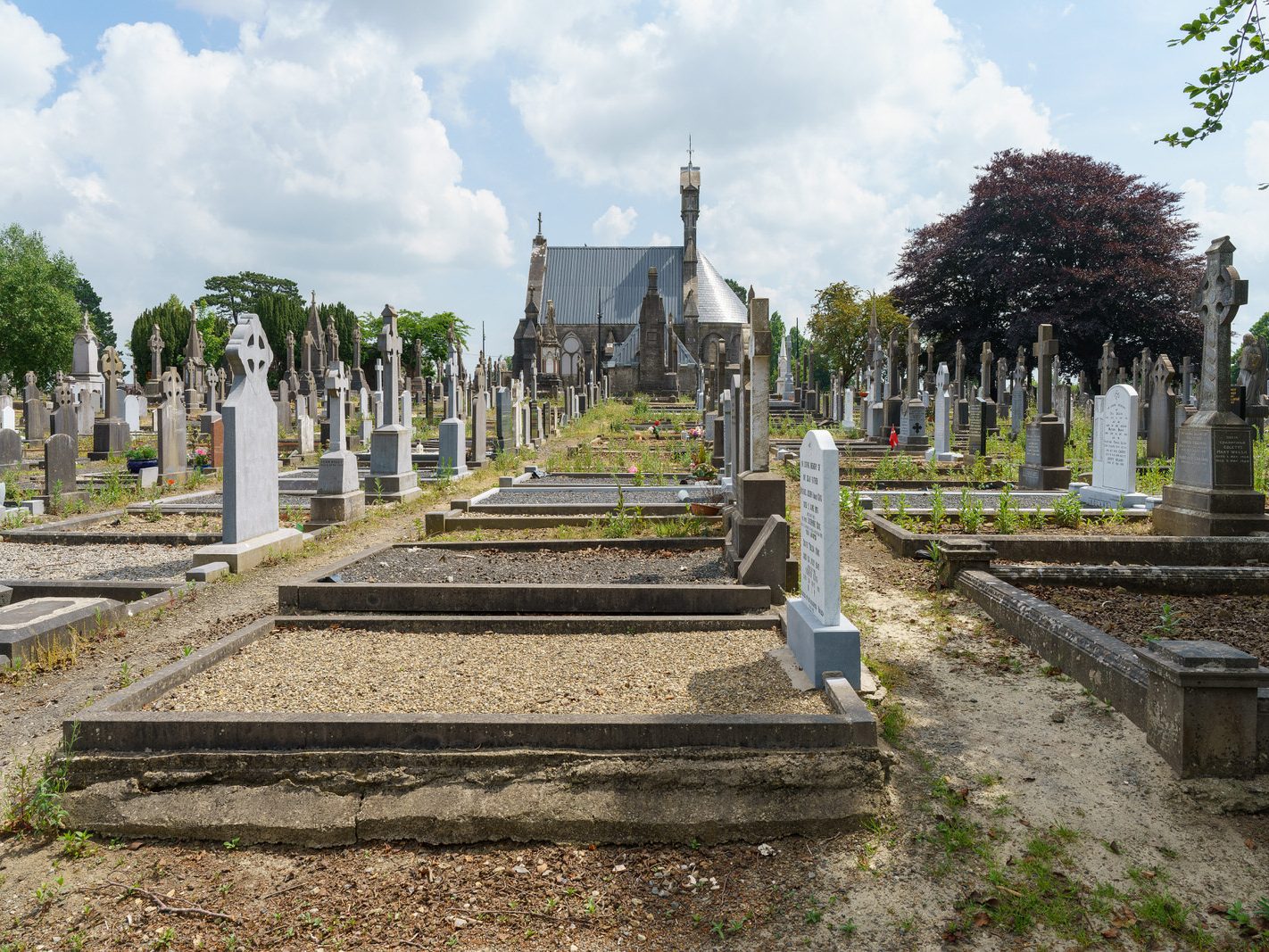 MY FIRST VISIT TO MOUNT ST LAWRENCE CEMETERY[LIMERICK JULY 2016]-227736-1