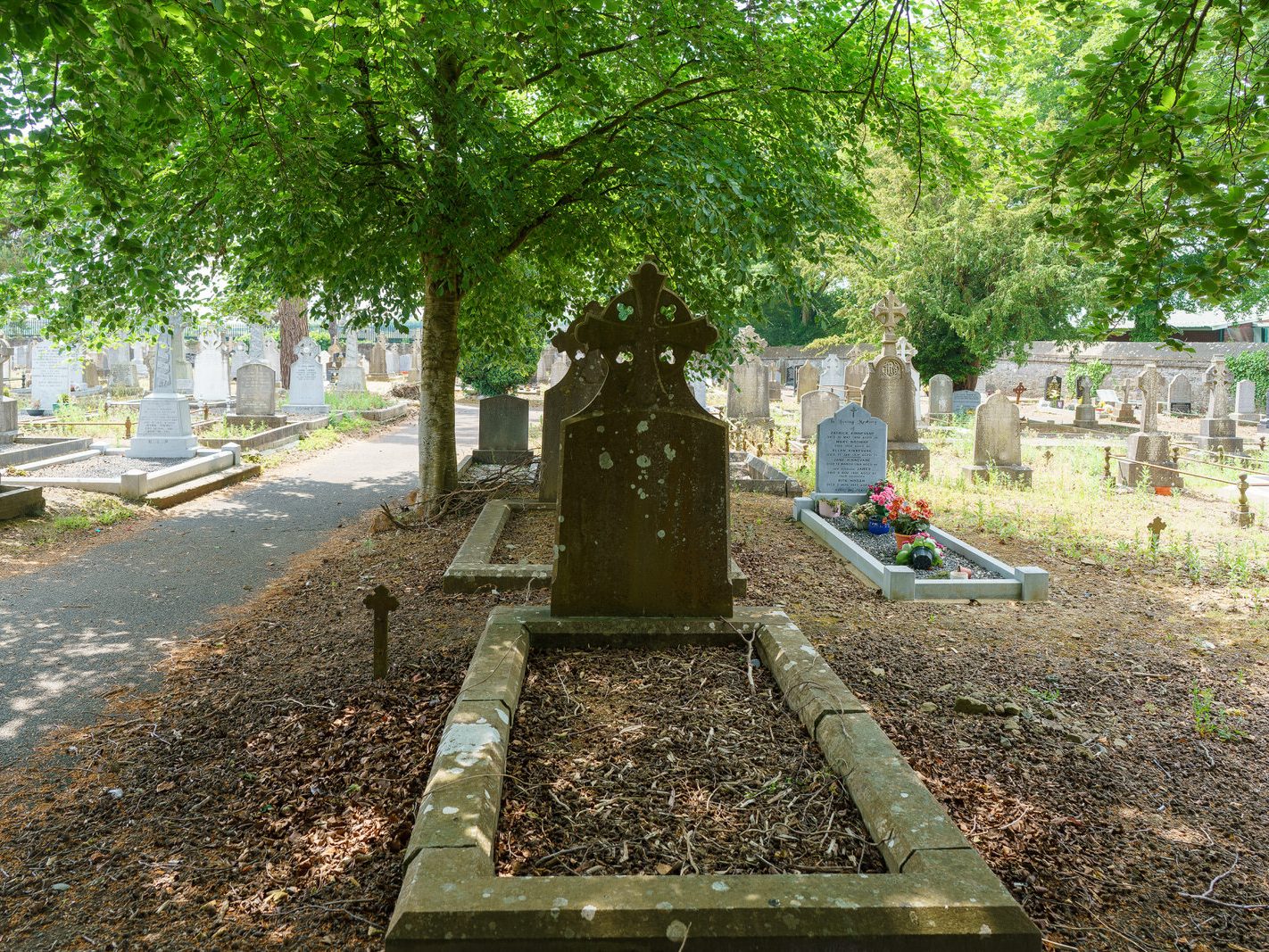 MY FIRST VISIT TO MOUNT ST LAWRENCE CEMETERY[LIMERICK JULY 2016]-227737-1