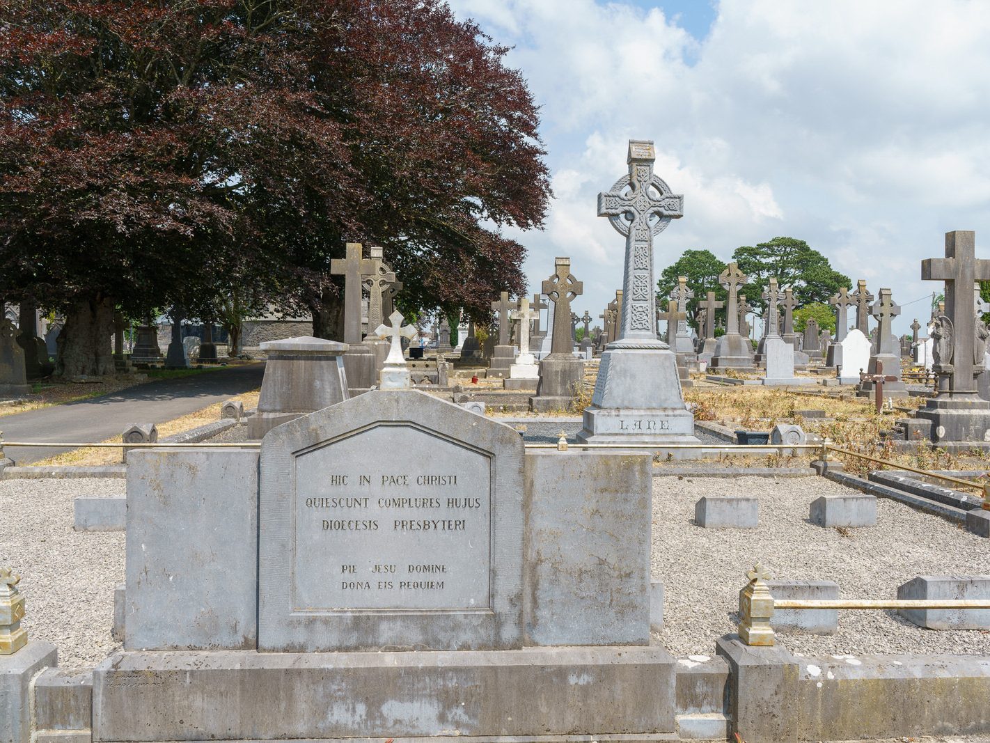 MY FIRST VISIT TO MOUNT ST LAWRENCE CEMETERY[LIMERICK JULY 2016]-227739-1