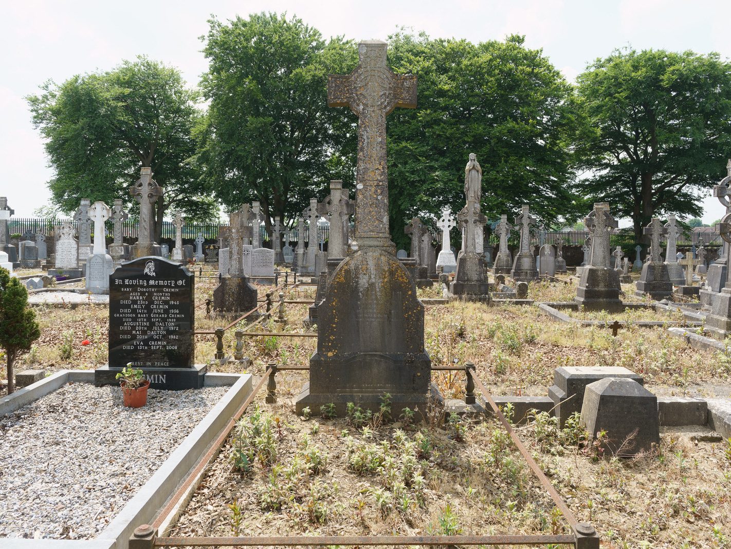 MY FIRST VISIT TO MOUNT ST LAWRENCE CEMETERY[LIMERICK JULY 2016]-227740-1