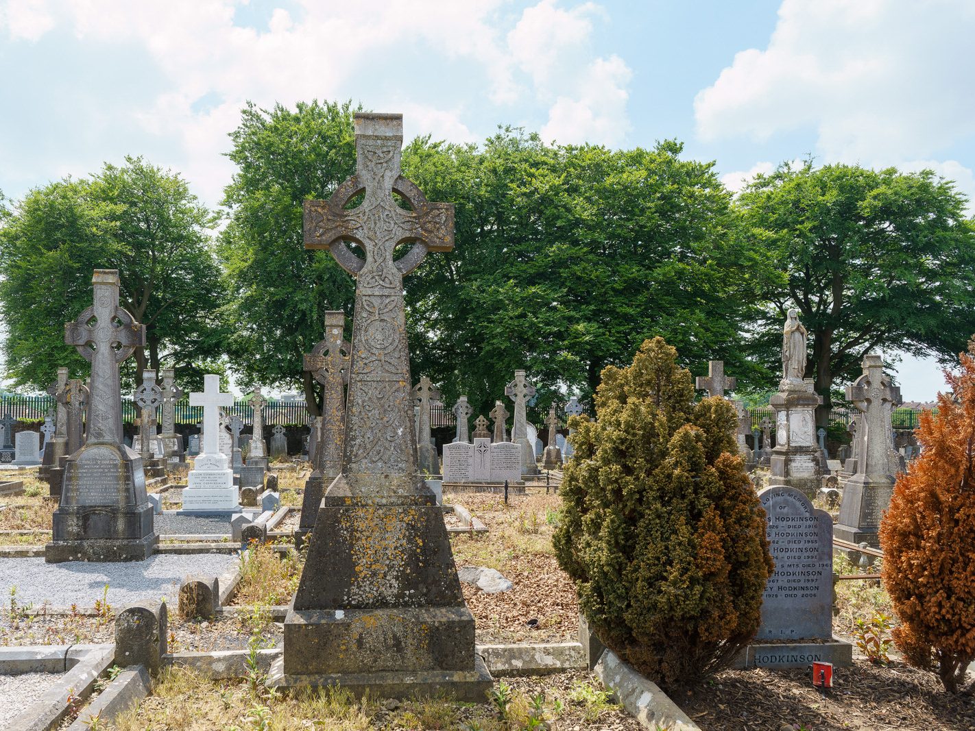 MY FIRST VISIT TO MOUNT ST LAWRENCE CEMETERY[LIMERICK JULY 2016]-227741-1
