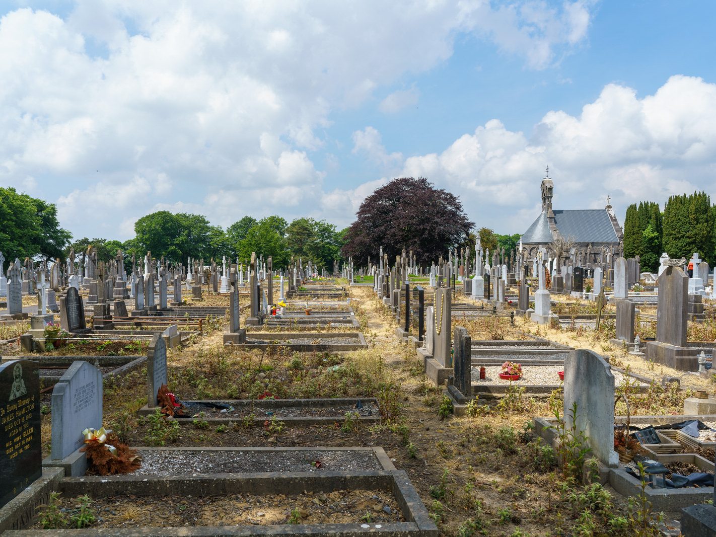 MY FIRST VISIT TO MOUNT ST LAWRENCE CEMETERY[LIMERICK JULY 2016]-227743-1