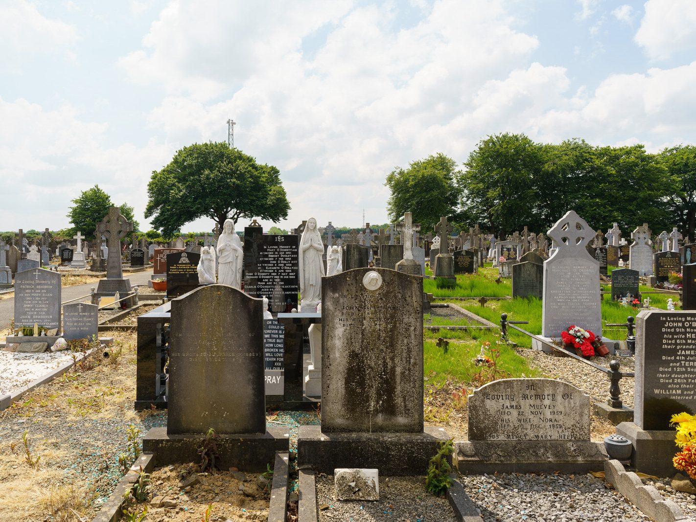 MY FIRST VISIT TO MOUNT ST LAWRENCE CEMETERY[LIMERICK JULY 2016]-227744-1