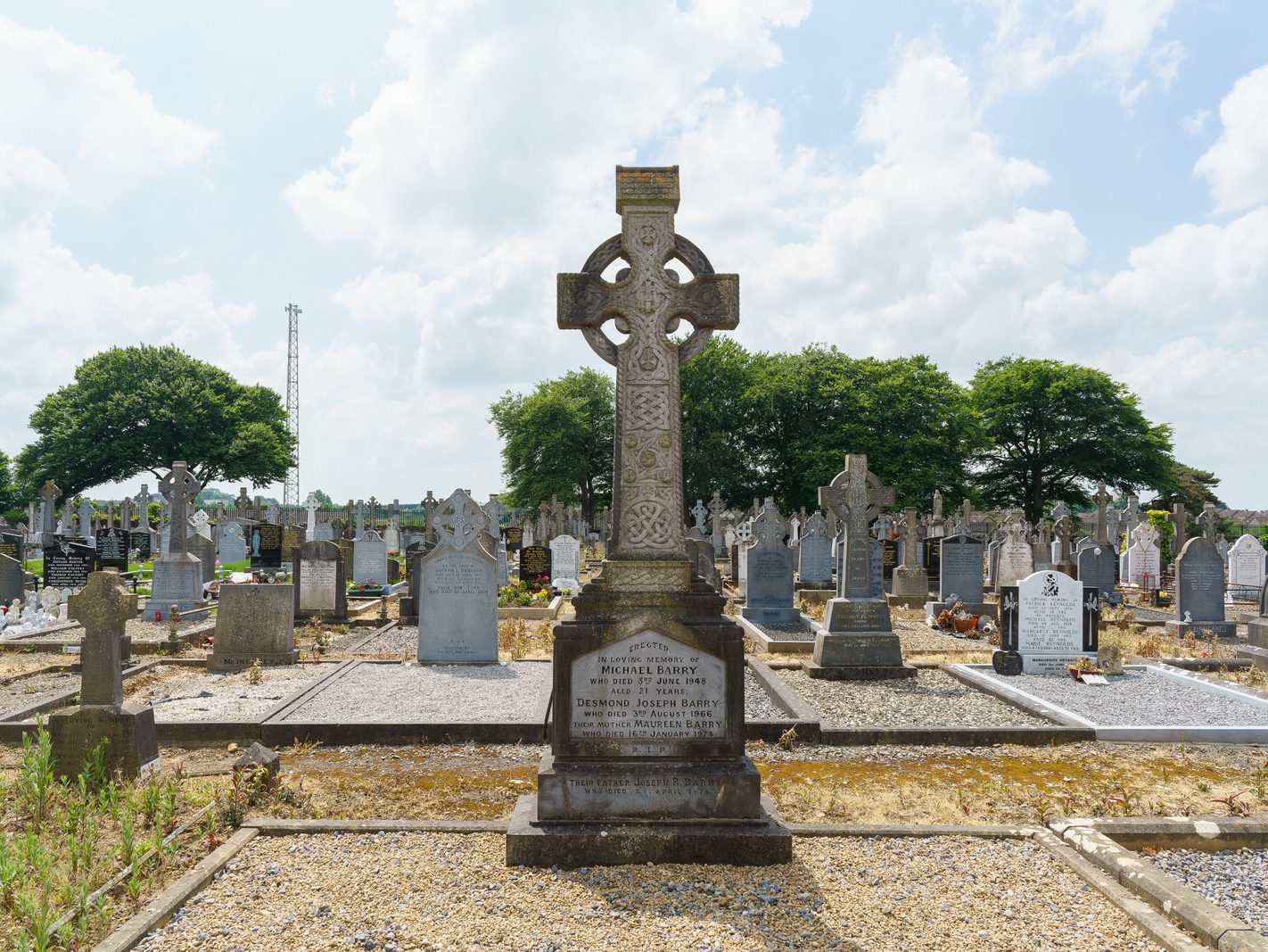 MY FIRST VISIT TO MOUNT ST LAWRENCE CEMETERY[LIMERICK JULY 2016]-227746-1