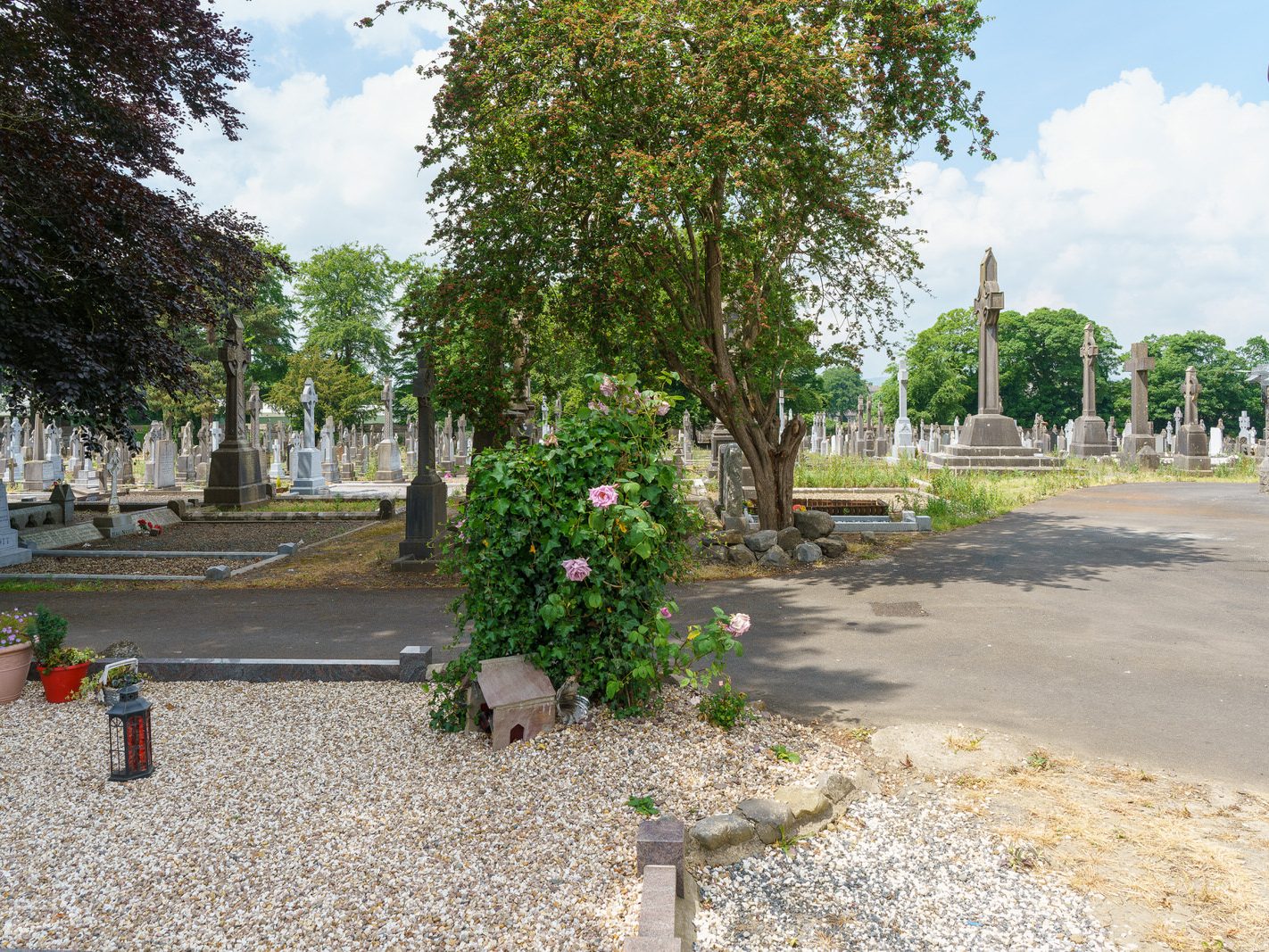 MY FIRST VISIT TO MOUNT ST LAWRENCE CEMETERY[LIMERICK JULY 2016]-227753-1