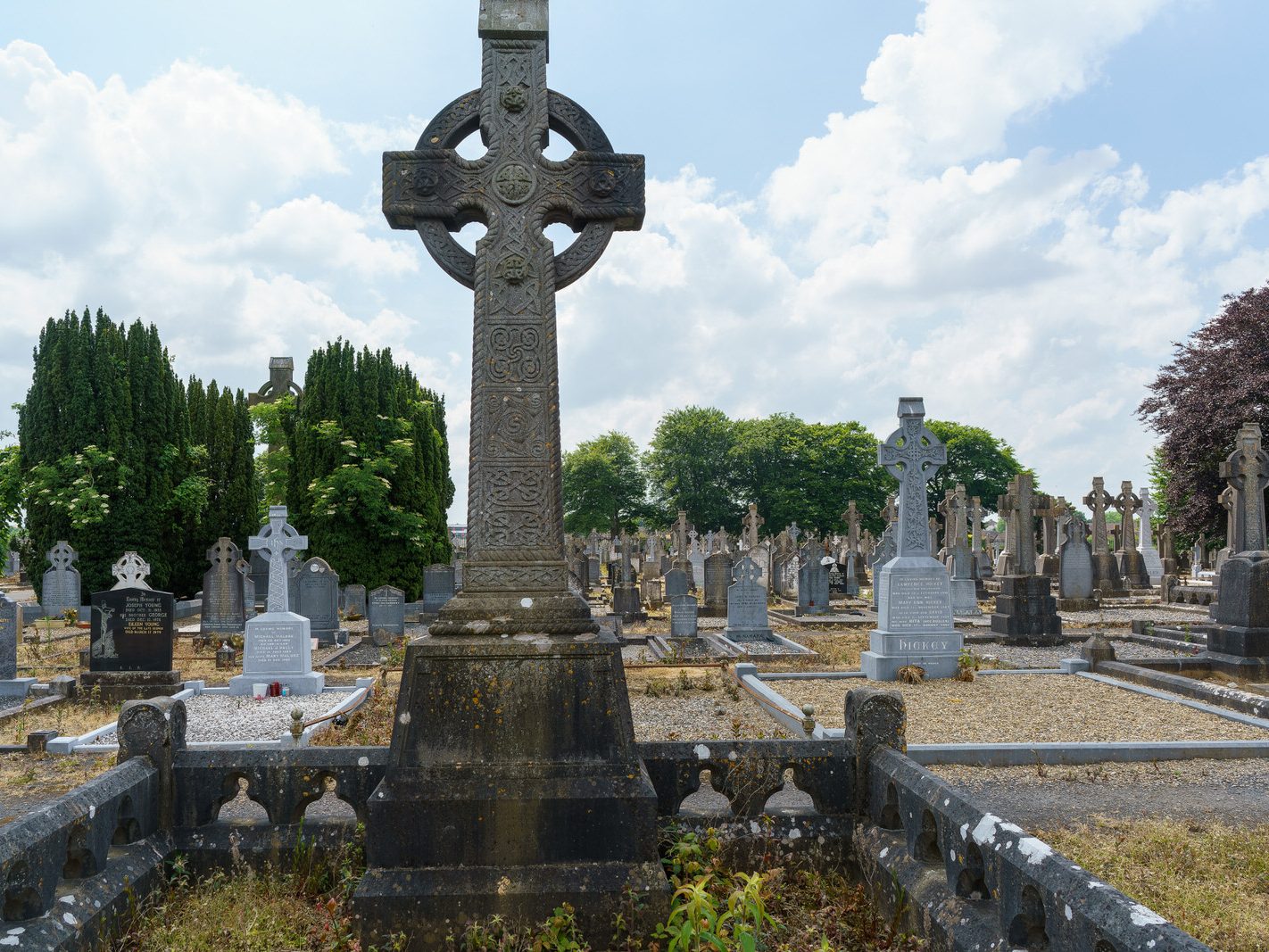 MY FIRST VISIT TO MOUNT ST LAWRENCE CEMETERY[LIMERICK JULY 2016]-227763-1