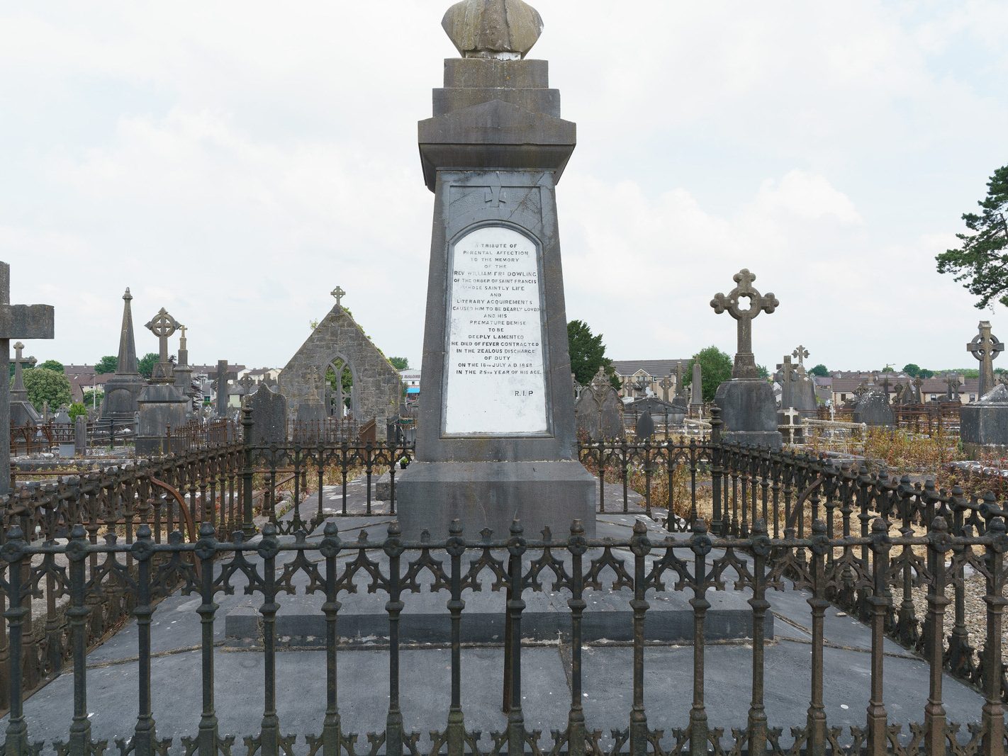 MY FIRST VISIT TO MOUNT ST LAWRENCE CEMETERY[LIMERICK JULY 2016]-227772-1