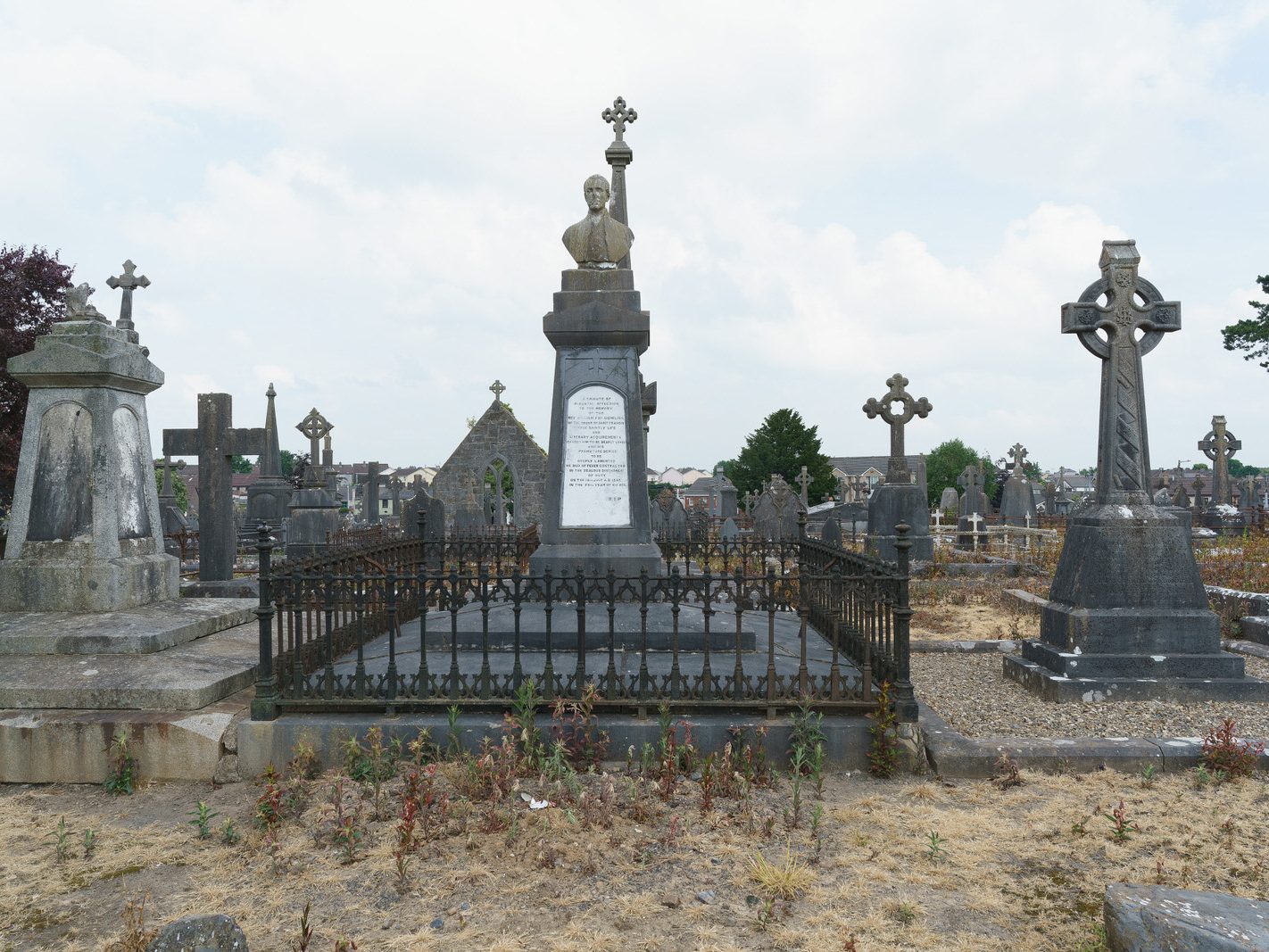 MY FIRST VISIT TO MOUNT ST LAWRENCE CEMETERY[LIMERICK JULY 2016]-227774-1