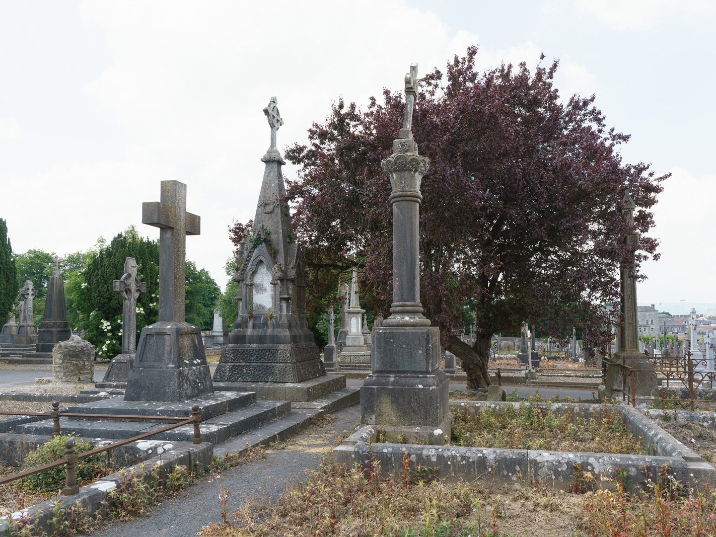 MY FIRST VISIT TO MOUNT ST LAWRENCE CEMETERY[LIMERICK JULY 2016]-227782-1