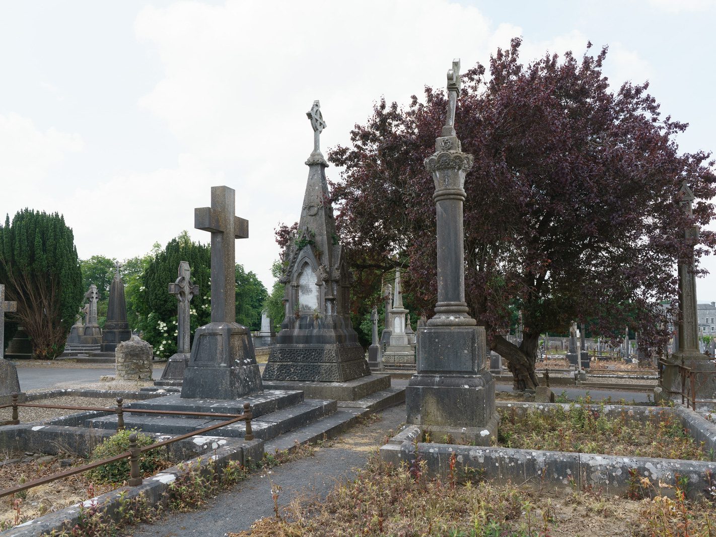 MY FIRST VISIT TO MOUNT ST LAWRENCE CEMETERY[LIMERICK JULY 2016]-227783-1