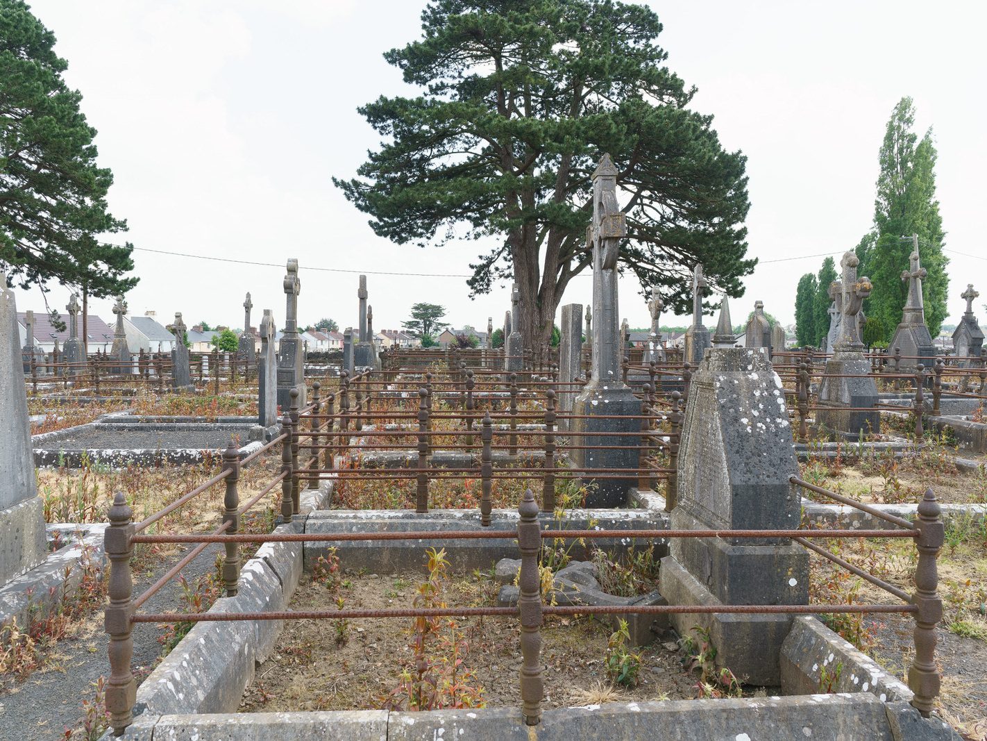 MY FIRST VISIT TO MOUNT ST LAWRENCE CEMETERY[LIMERICK JULY 2016]-227784-1