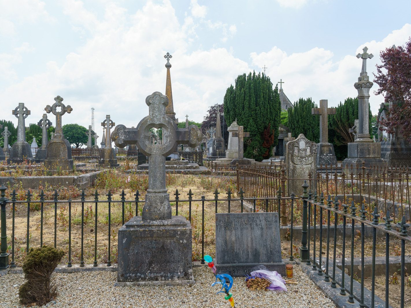 MY FIRST VISIT TO MOUNT ST LAWRENCE CEMETERY[LIMERICK JULY 2016]-227786-1