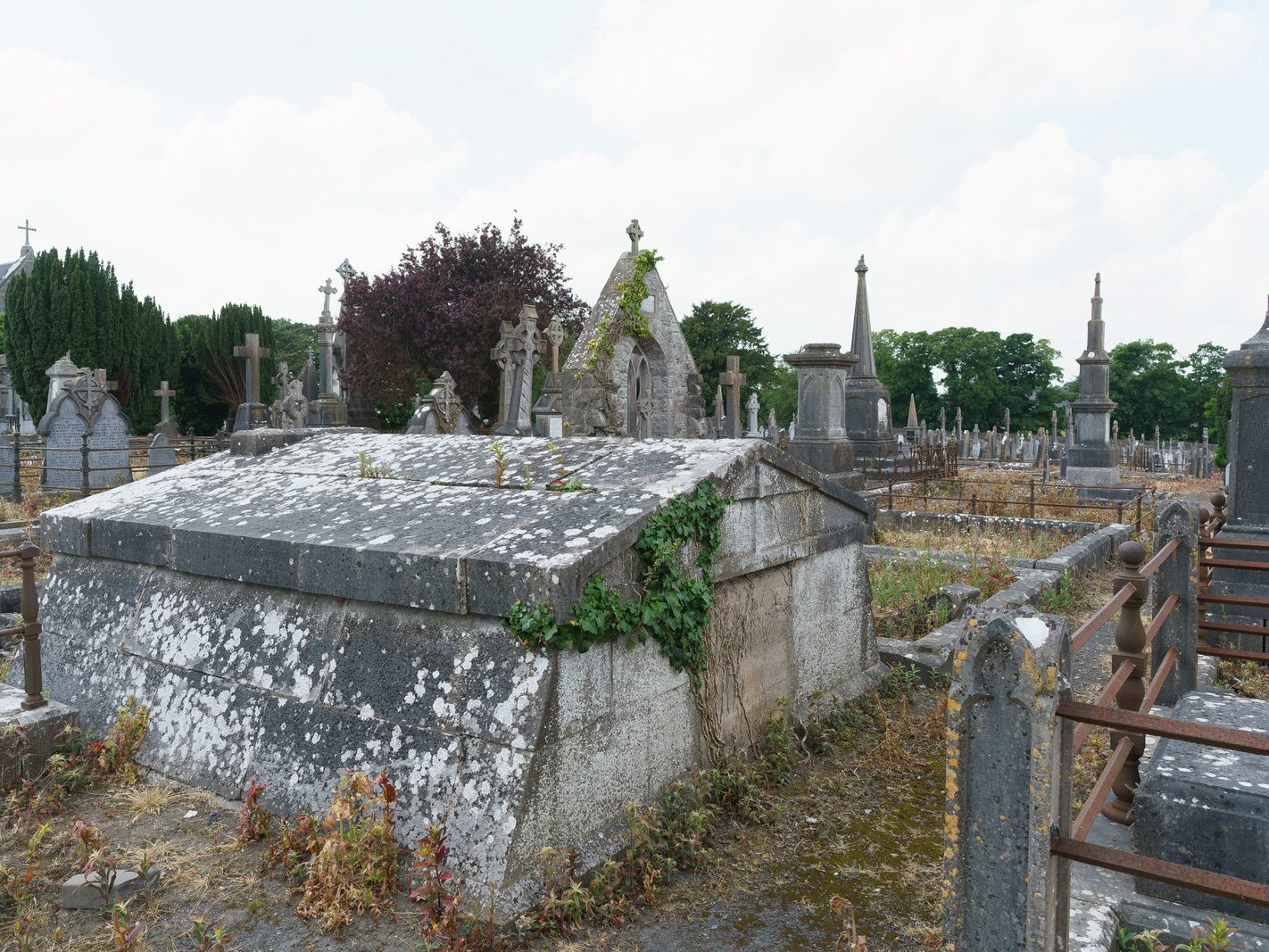 MY FIRST VISIT TO MOUNT ST LAWRENCE CEMETERY[LIMERICK JULY 2016]-227789-1