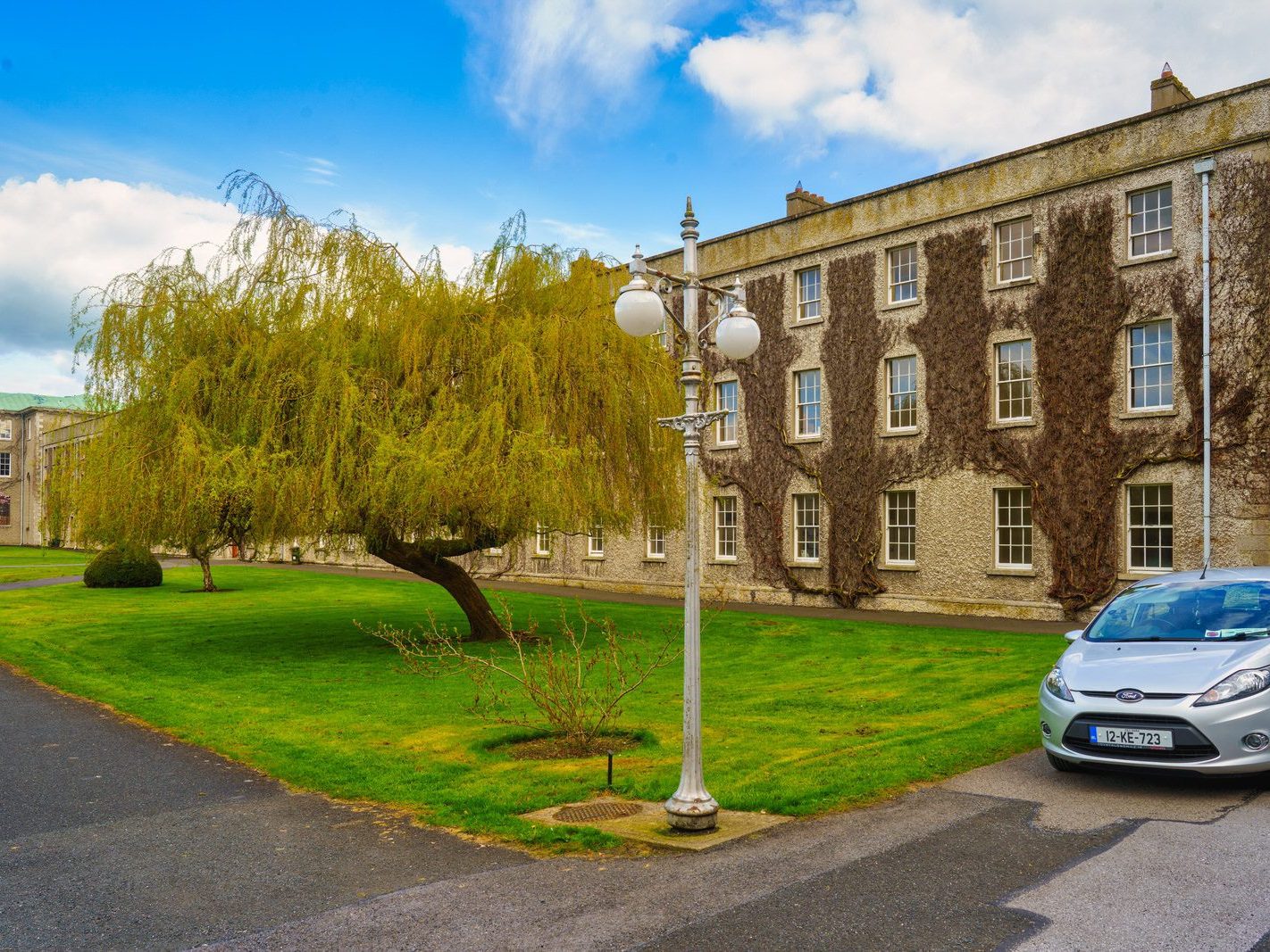IF YOU ARE INTERESTED IN TREES THEN ST PATRICK'S COLLEGE CAMPUS IS THE PLACE TO VISIT 012