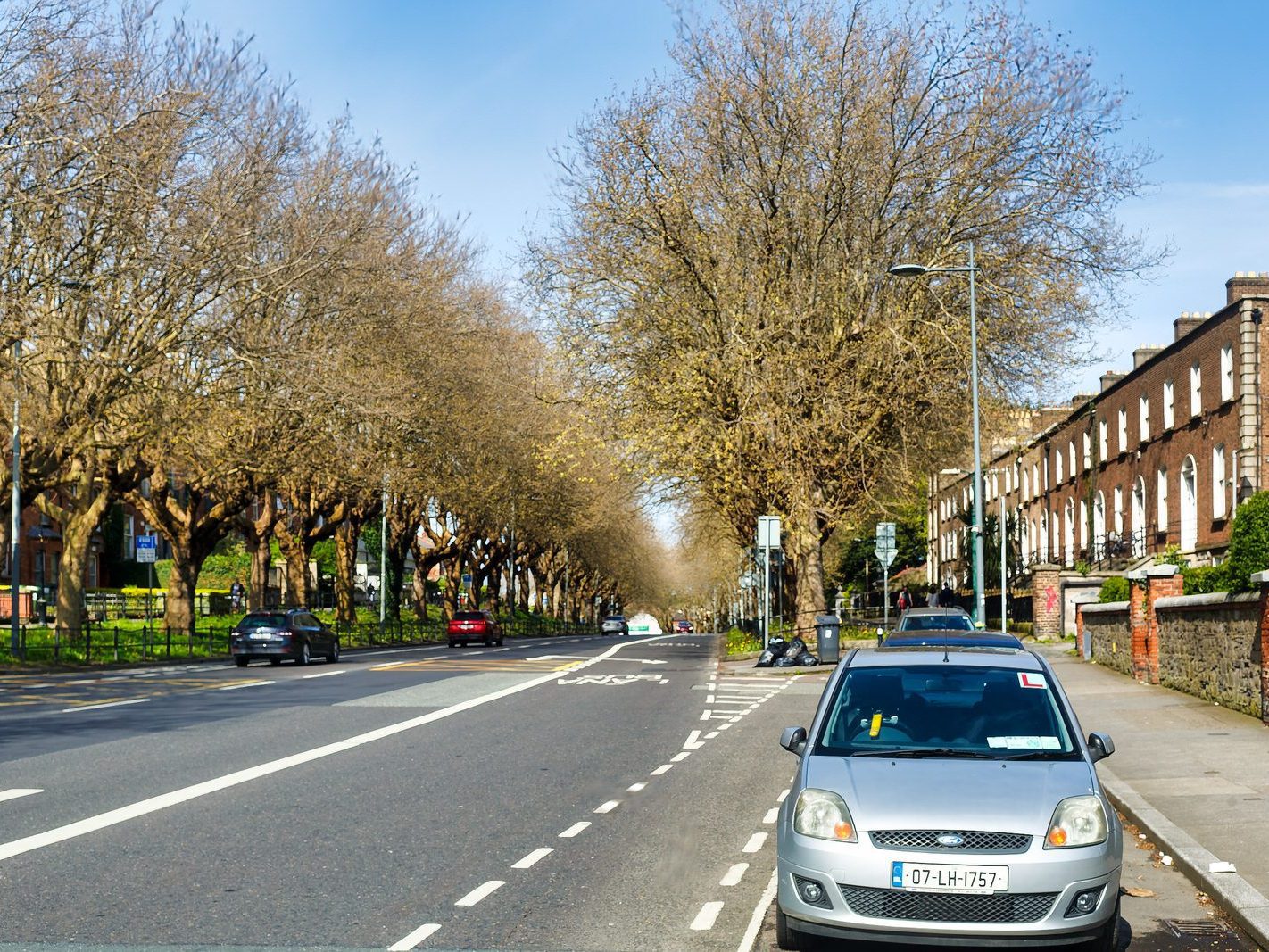 THE TREE LINED SECTION OF LOWER DRUMCONDRA ROAD 001