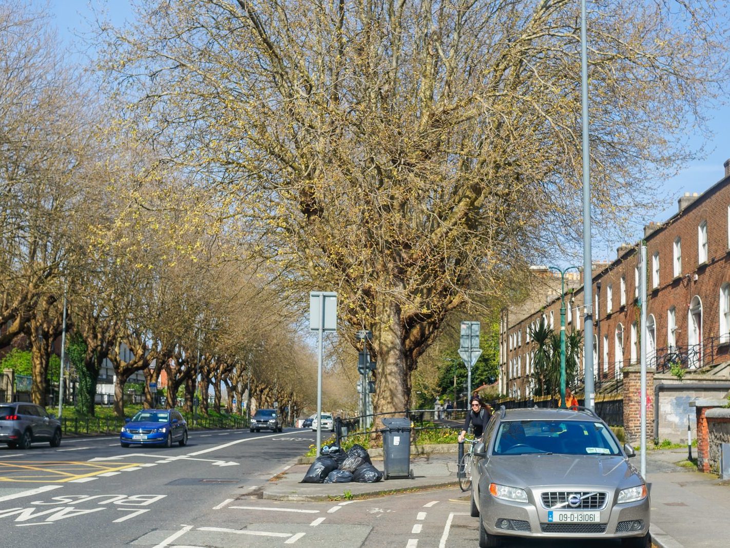 THE TREE LINED SECTION OF LOWER DRUMCONDRA ROAD 002