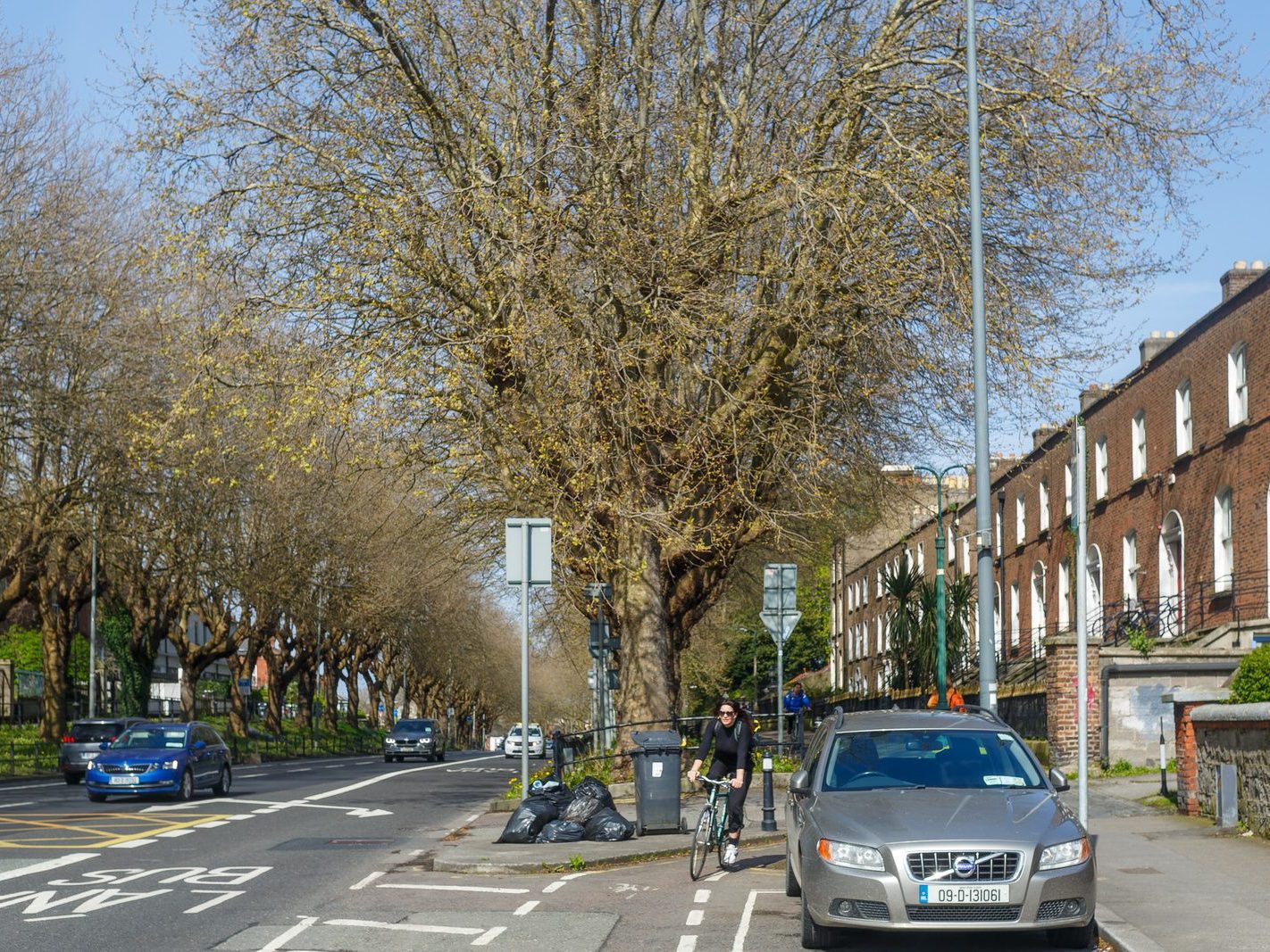 THE TREE LINED SECTION OF LOWER DRUMCONDRA ROAD 003