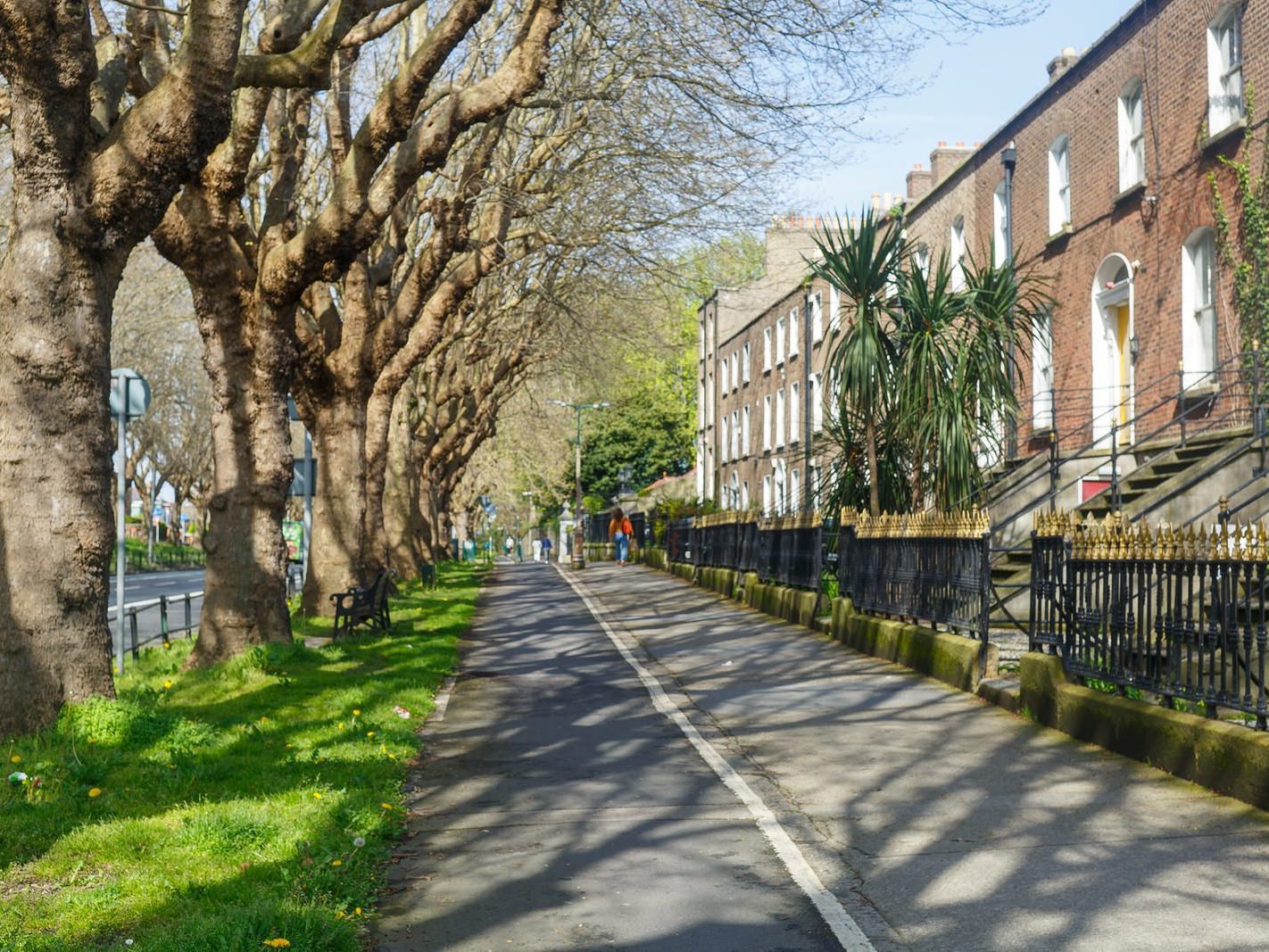 THE TREE LINED SECTION OF LOWER DRUMCONDRA ROAD 004