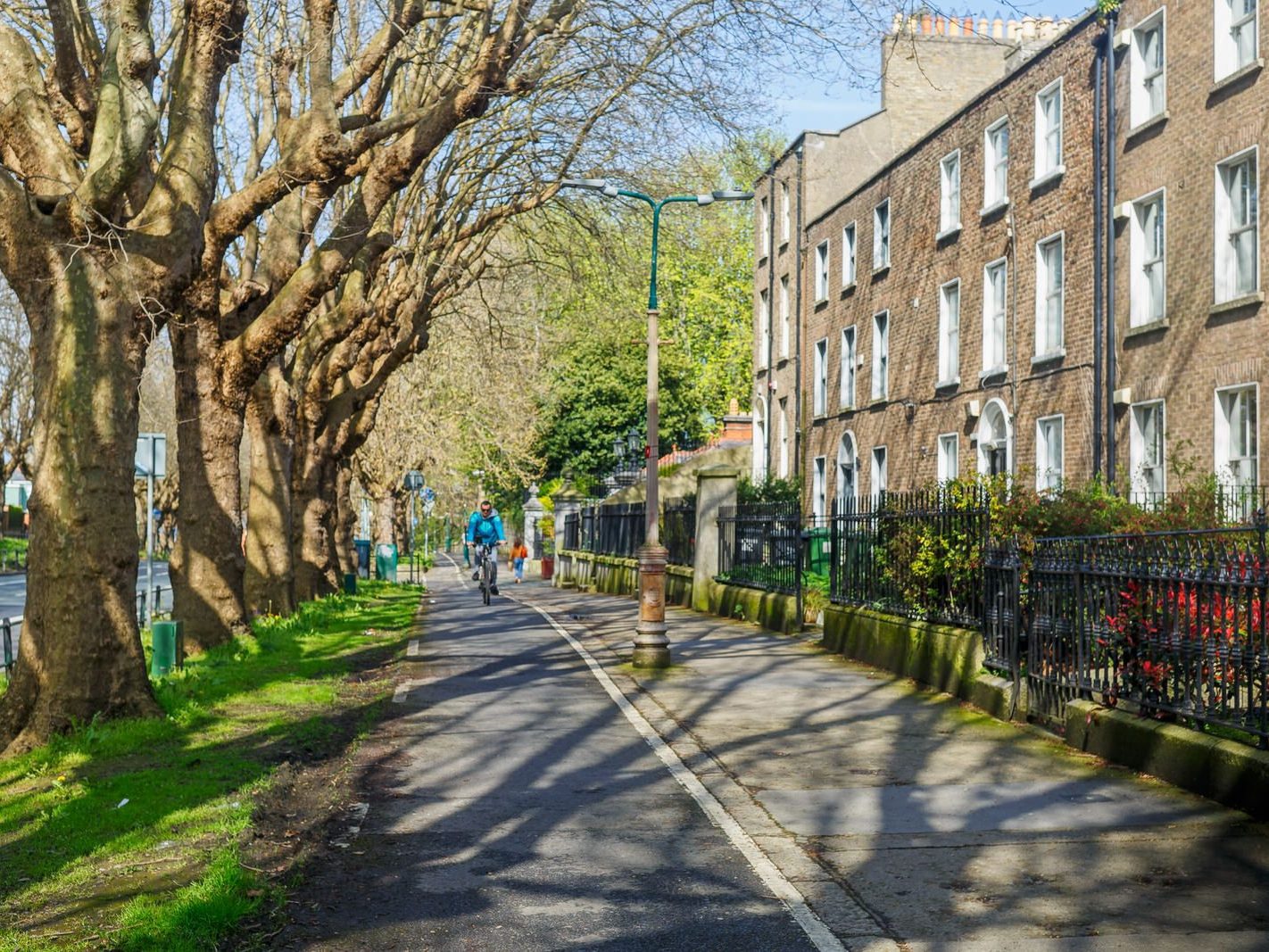 THE TREE LINED SECTION OF LOWER DRUMCONDRA ROAD 005