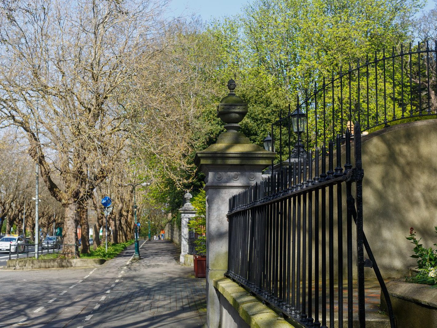 THE TREE LINED SECTION OF LOWER DRUMCONDRA ROAD 006