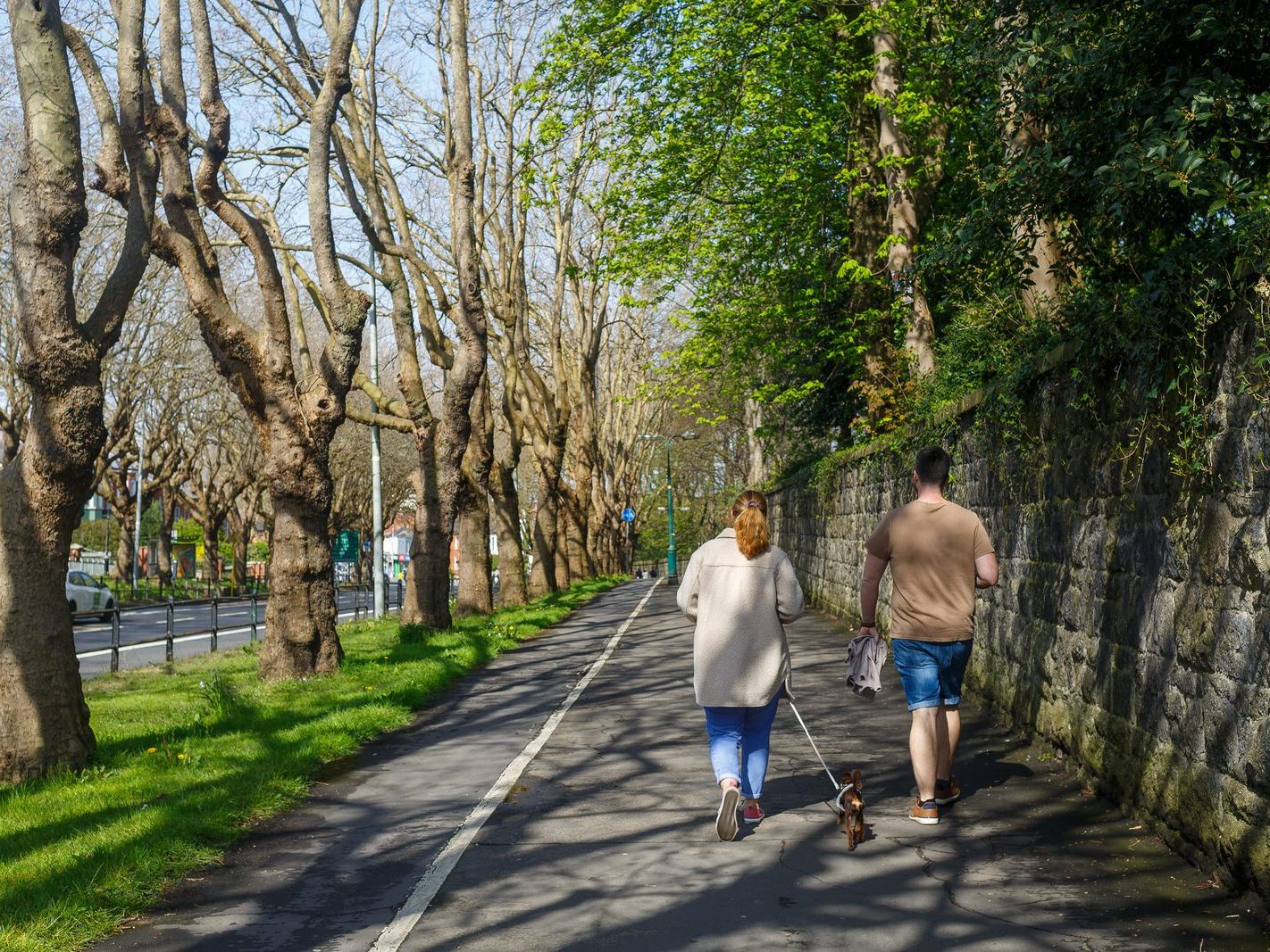 THE TREE LINED SECTION OF LOWER DRUMCONDRA ROAD 007