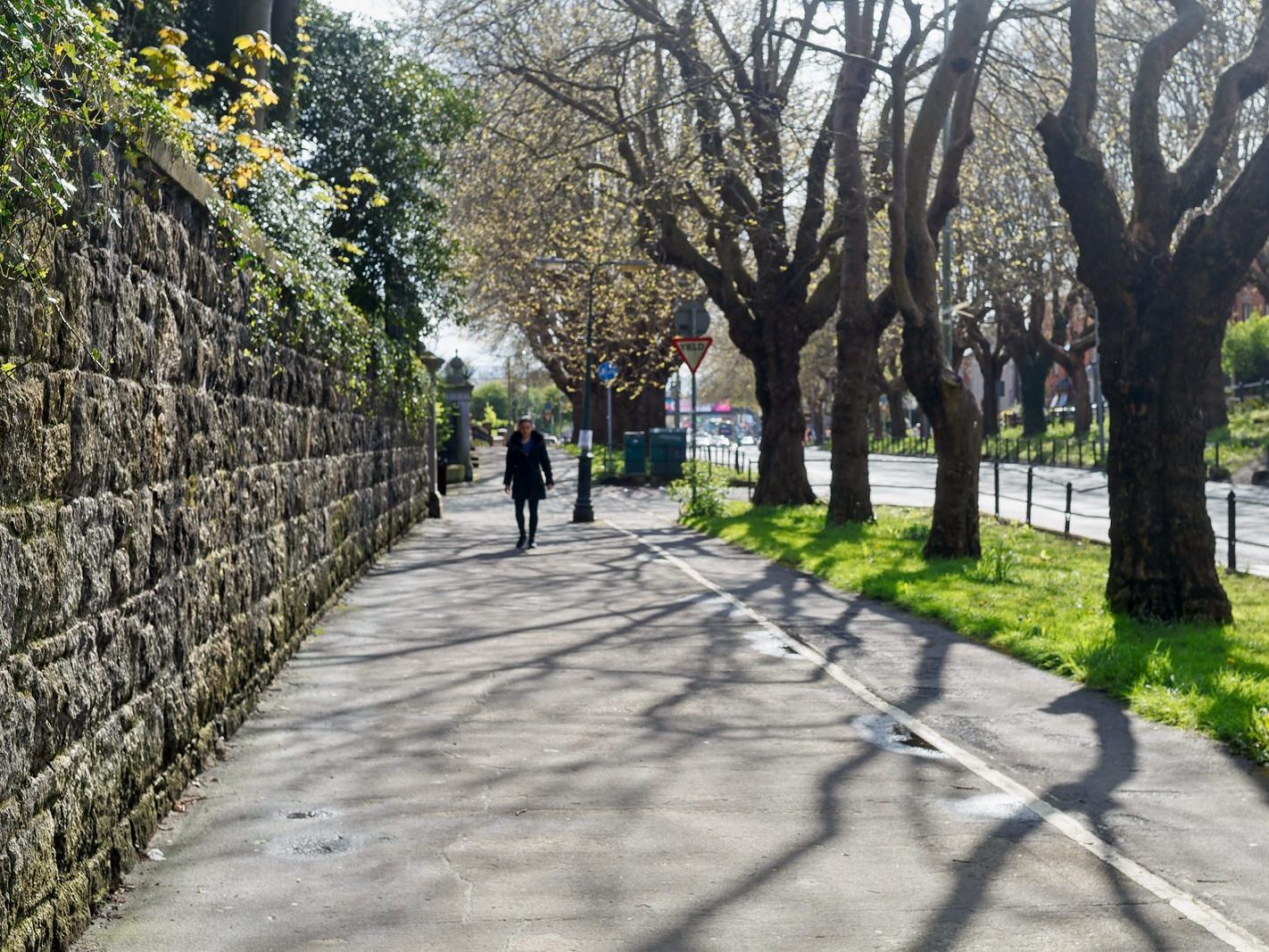 THE TREE LINED SECTION OF LOWER DRUMCONDRA ROAD 009