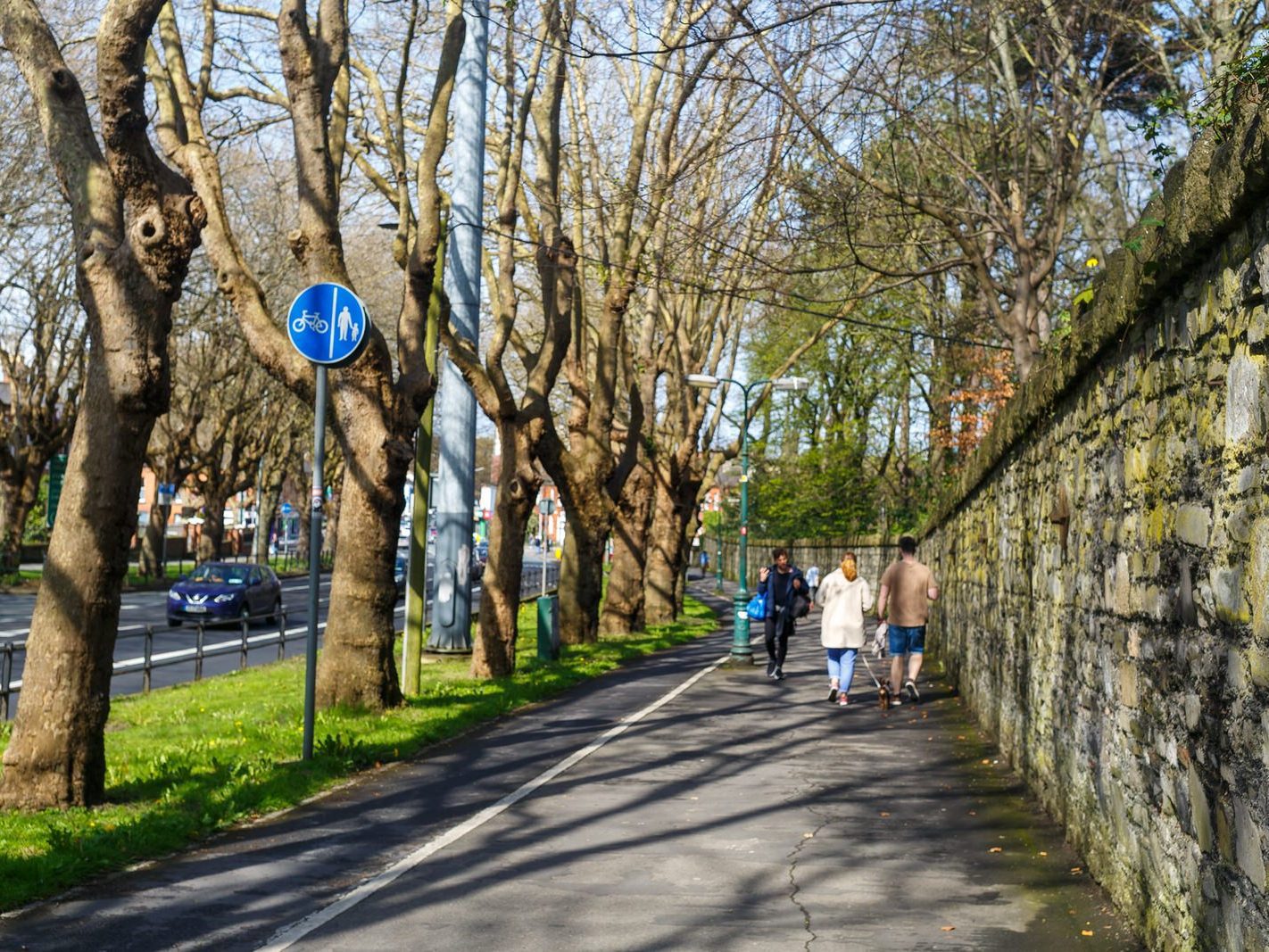 THE TREE LINED SECTION OF LOWER DRUMCONDRA ROAD 010