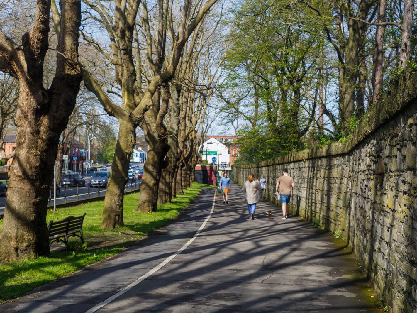 THE TREE LINED SECTION OF LOWER DRUMCONDRA ROAD 011