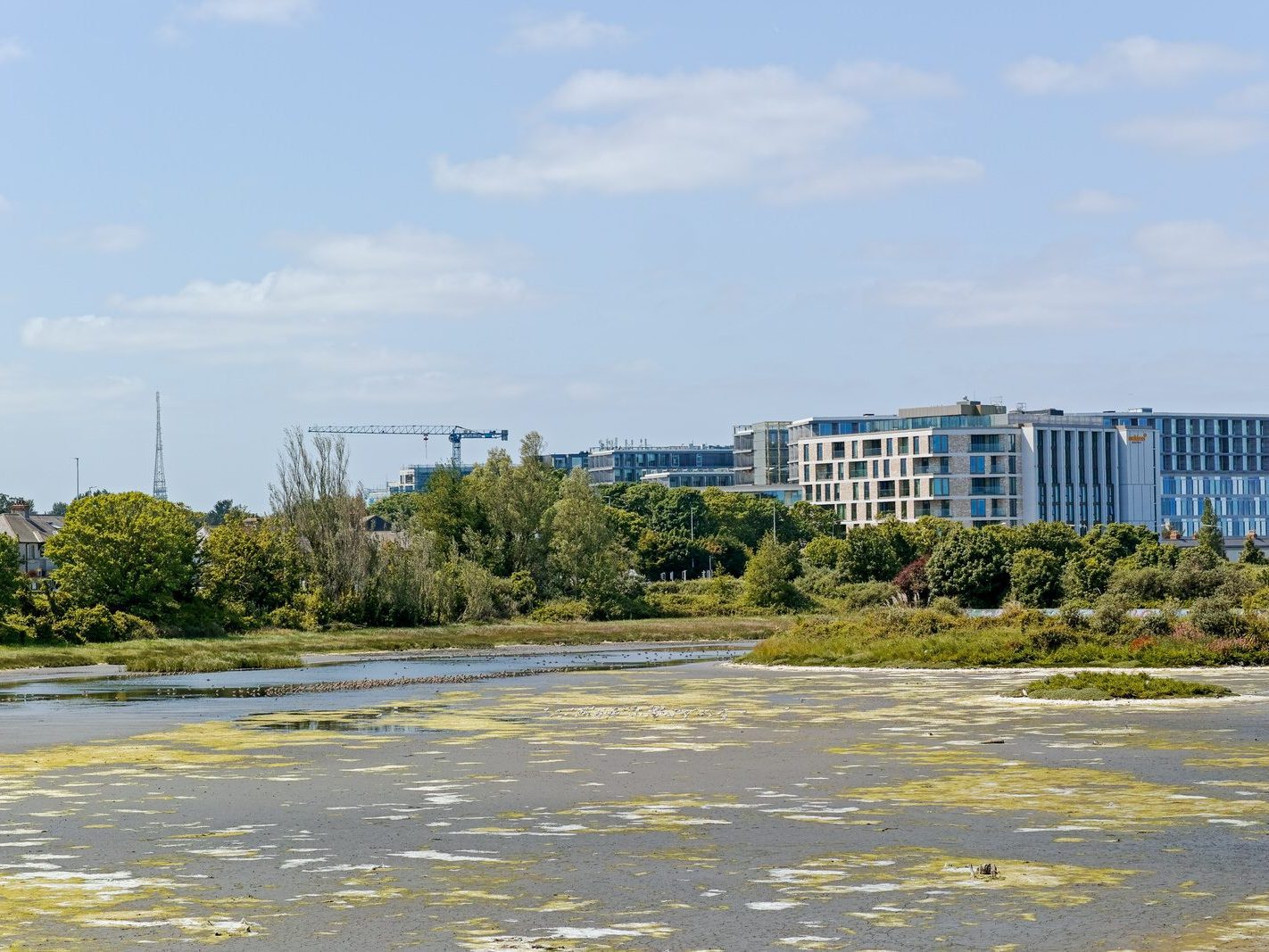 BOOTERSTOWN MARSH AND TRAIN STATION [I USED A SIGMA DP3 QUATTRO] 008