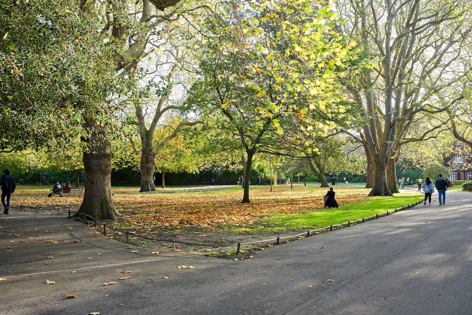 A BEAUTIFUL DAY IN STEPHEN'S GREEN [PHOTOGRAPHED 28 OCTOBER 2022 PUBLISHED 28 JUNE 2023] 005