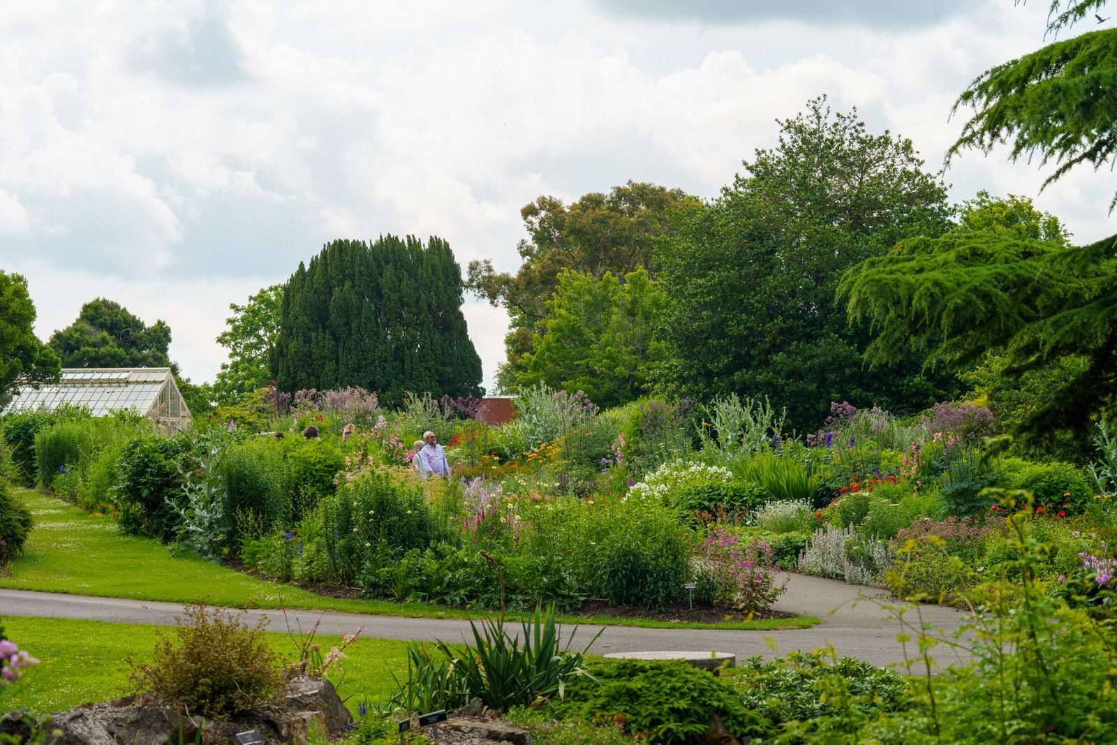 THE ROCKERY AND NEARBY [BOTANIC GARDENS IN GLASNEVIN] 015
