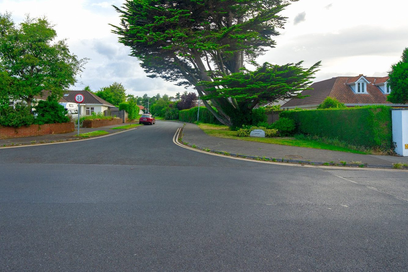 MEATH ROAD IN BRAY COUNTY WICKLOW [AS DESCRIBED BY GOOGLE'S BARD AI] 009