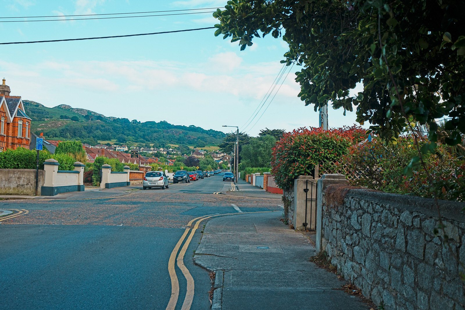 MEATH ROAD IN BRAY COUNTY WICKLOW [AS DESCRIBED BY GOOGLE'S BARD AI] 029
