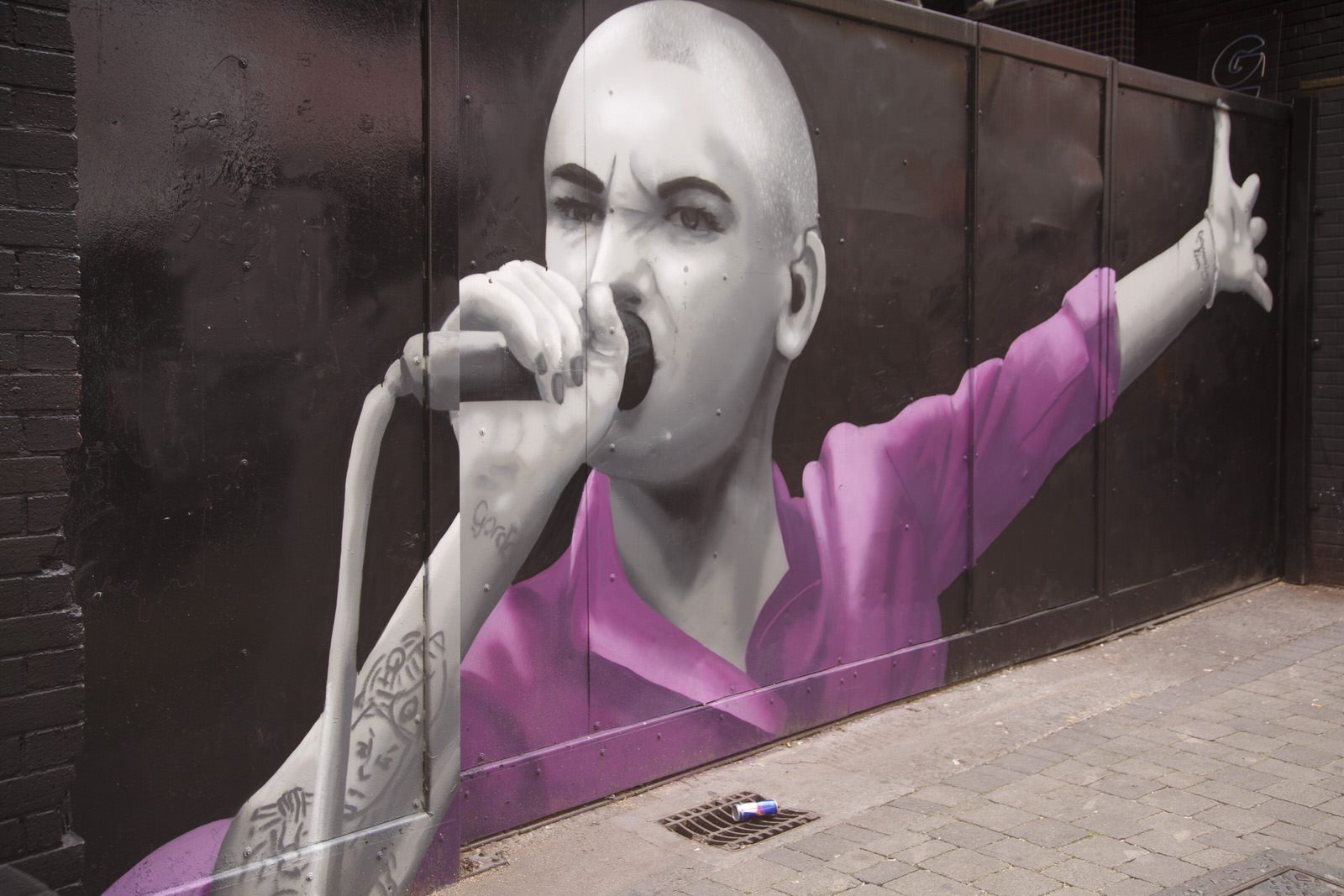 STREET ART TRIBUTE TO SINEAD O'CONNOR [LOCATED ON DAME LANE OFF SOUTH GREAT GEORGE'S STREET] 003
