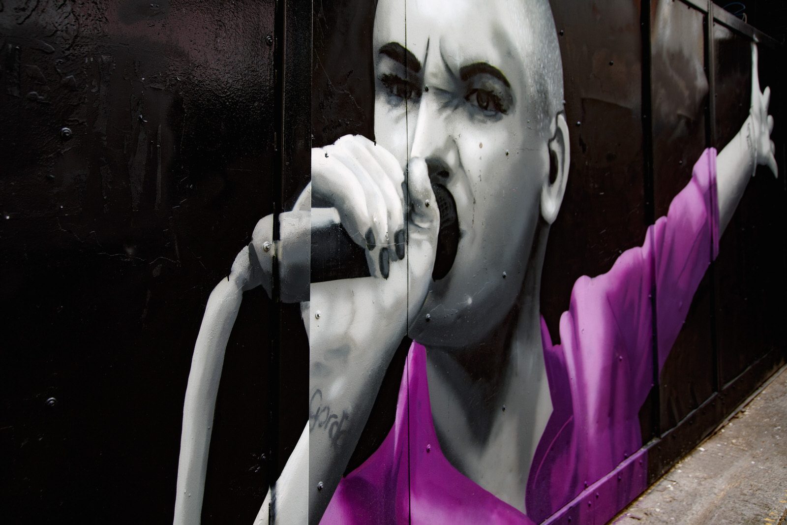 STREET ART TRIBUTE TO SINEAD O'CONNOR [LOCATED ON DAME LANE OFF SOUTH GREAT GEORGE'S STREET] 001