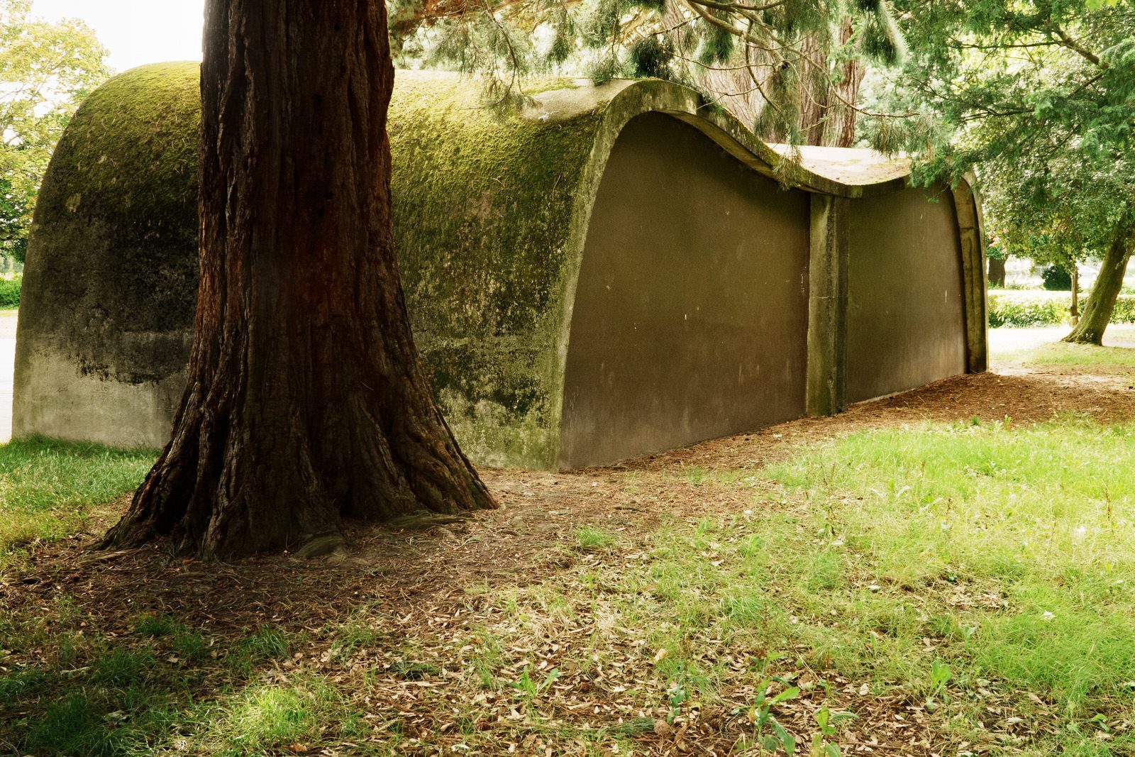 THE CONCRETE SHELTER IN PHOENIX PARK [LOCATED IN THE PEOPLE'S FLOWER GARDENS] 006