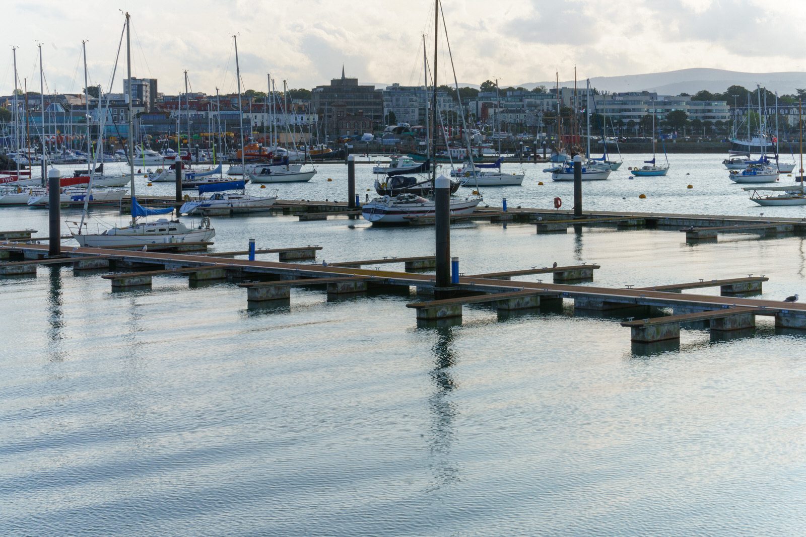 THE SECTION OF THE MARINA NEAR THE WESTERN BREAKWATER [DUN LAOGHAIRE HARBOUR] 005